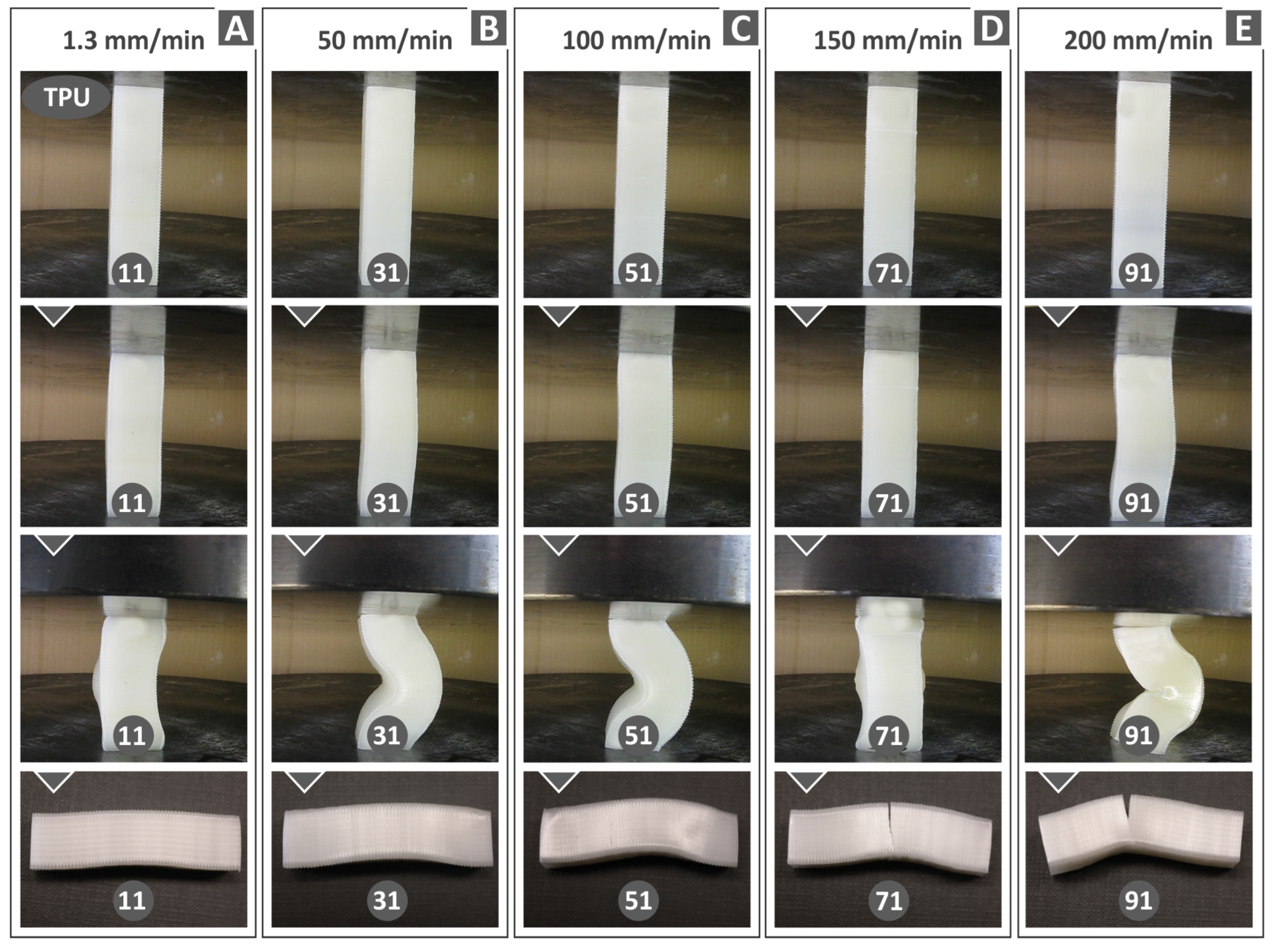 Polymers 15 03926 g012