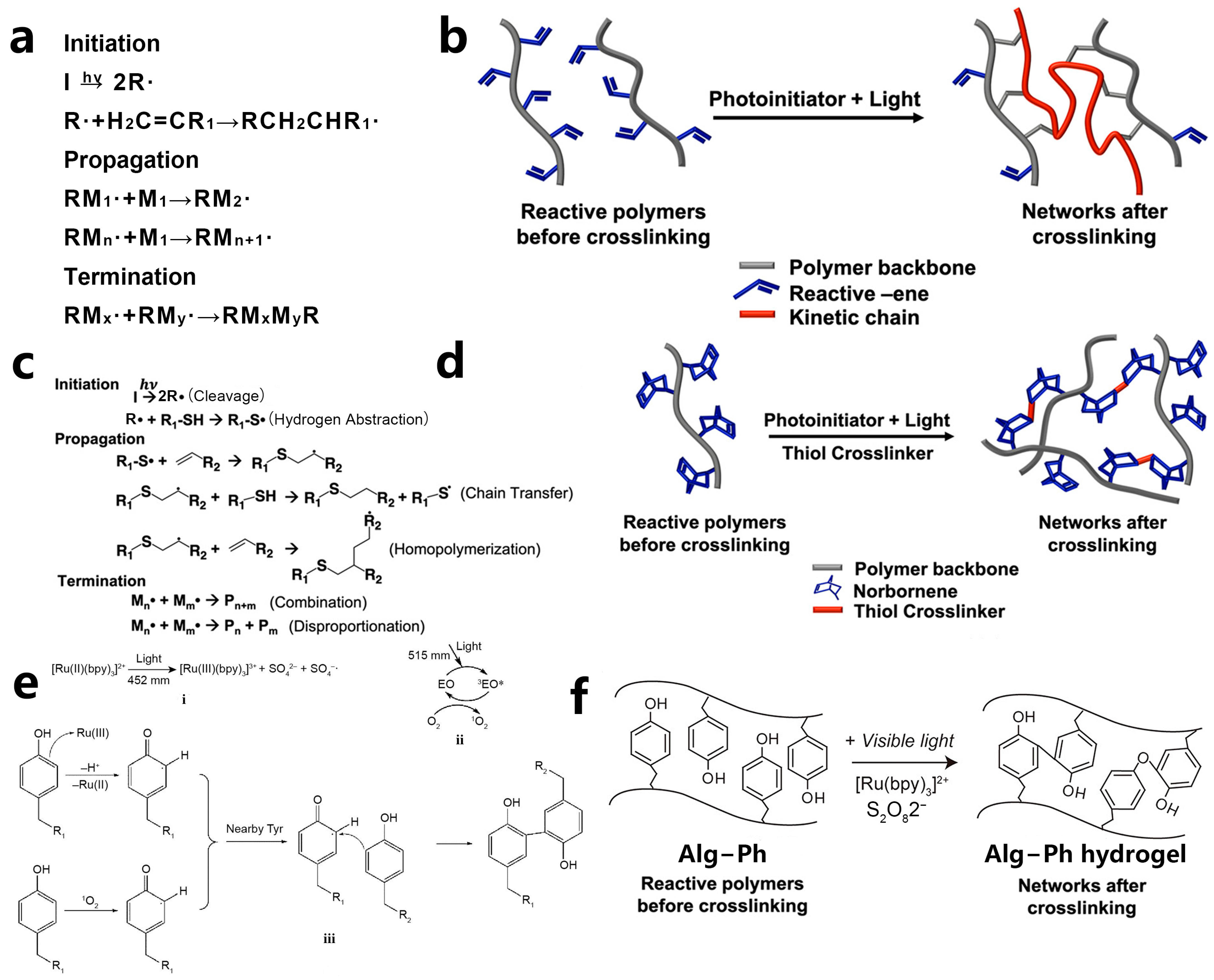 Polymers 15 03940 g001 Polymers 15 03940 g001