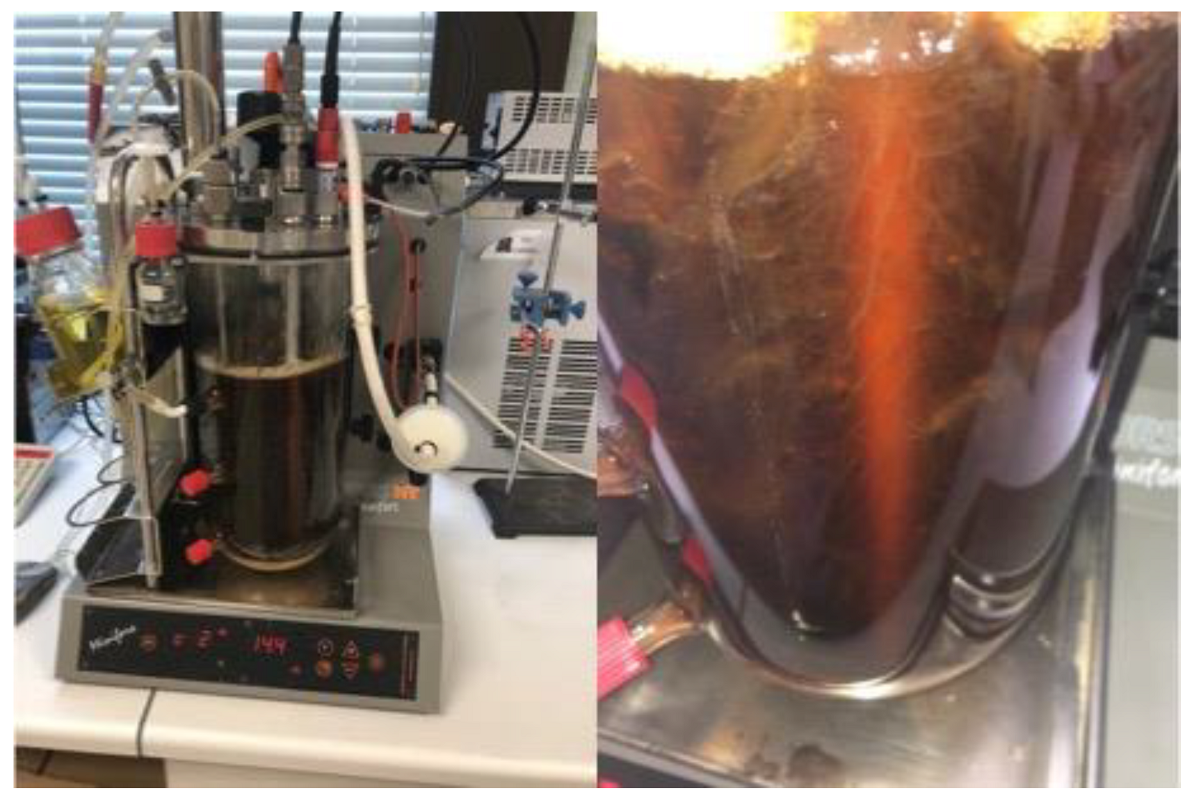 Polymers 15 03944 g005