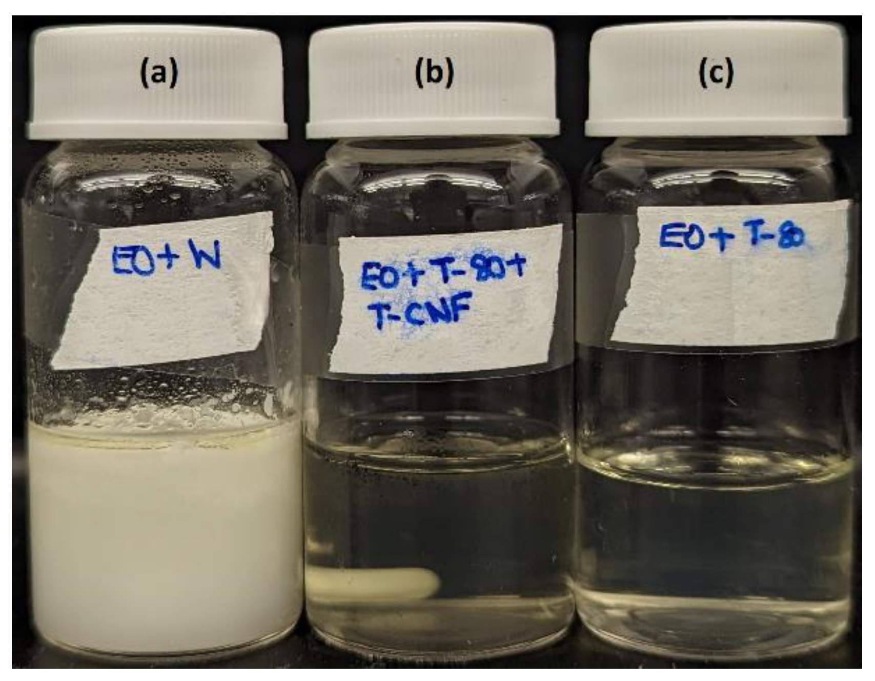 Polymers 15 03946 g004