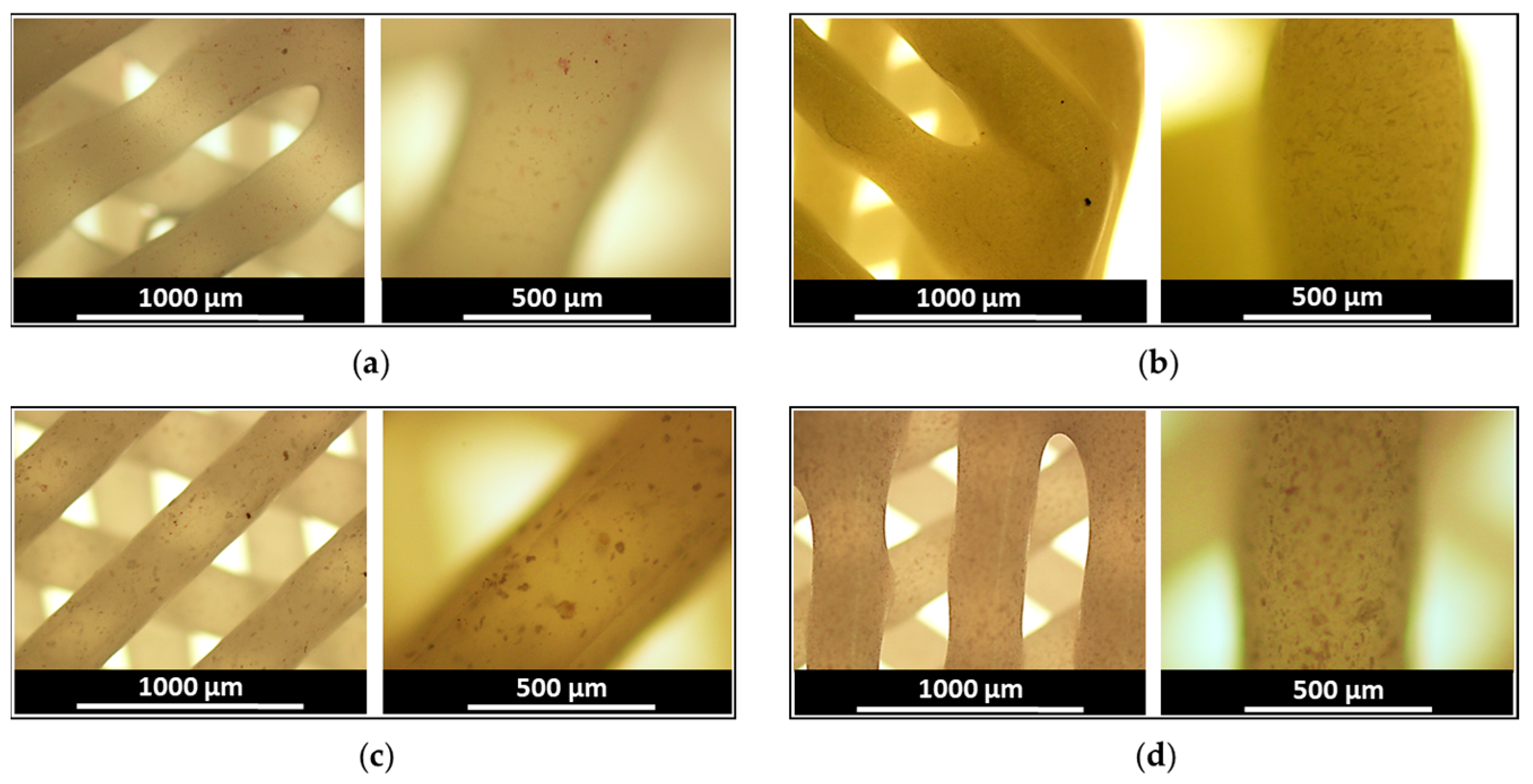 Polymers 15 03957 g006