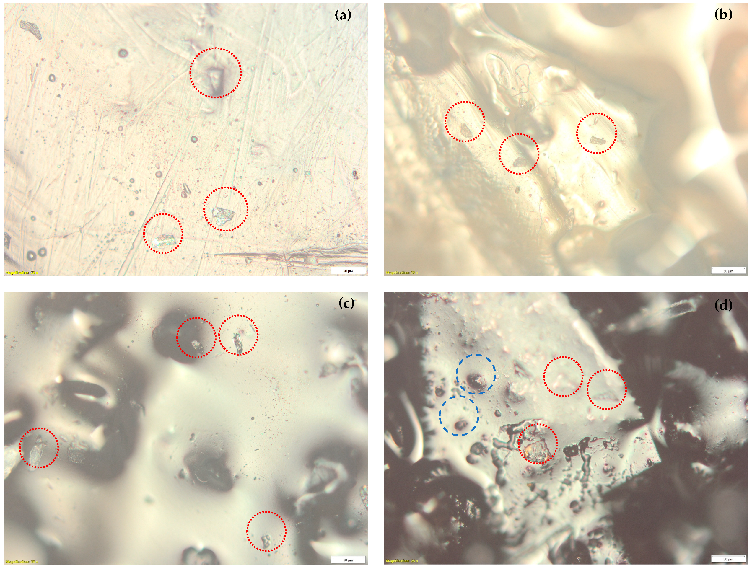 Polymers 15 03961 g004