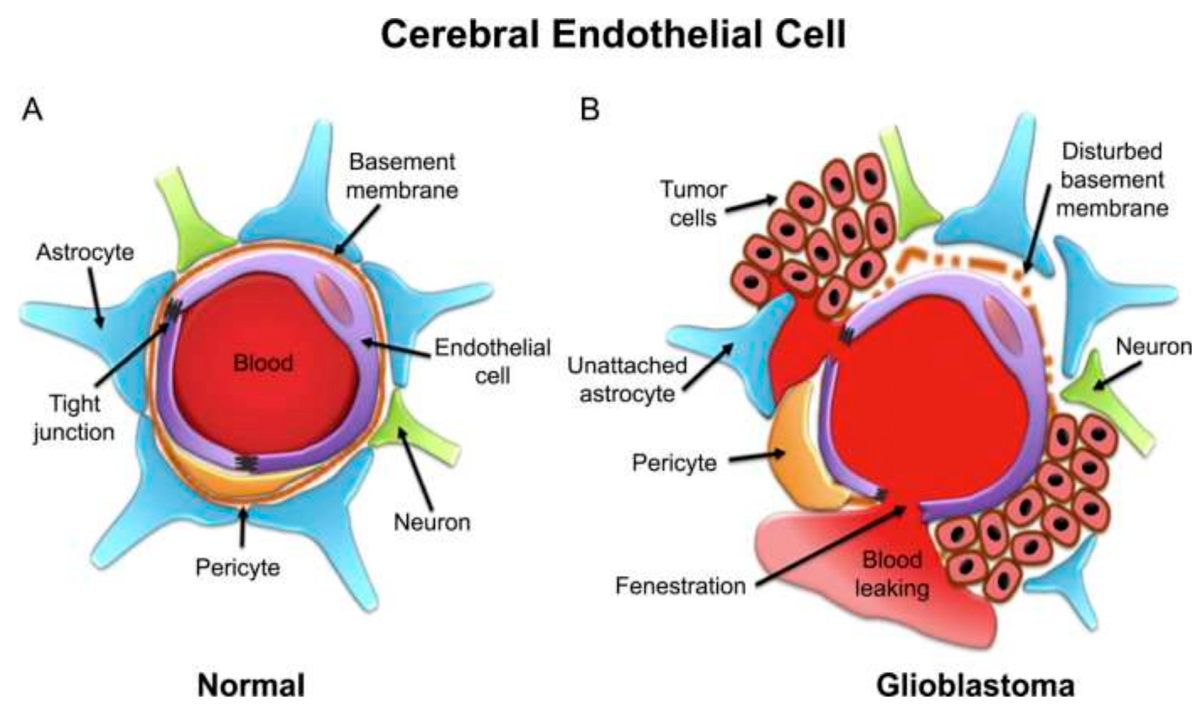 Polymers 15 03969 g003 Polymers 15 03969 g003