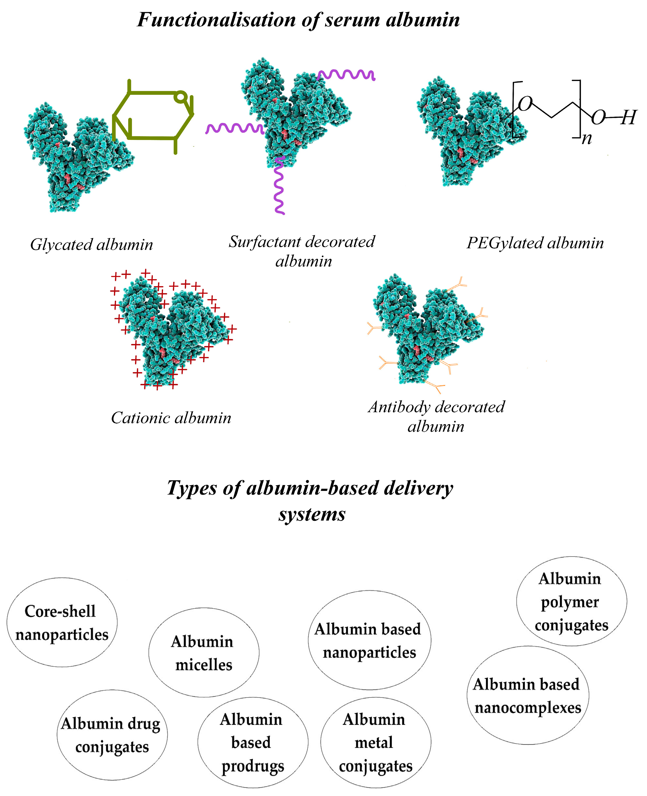 Polymers 15 03969 g005 Polymers 15 03969 g005