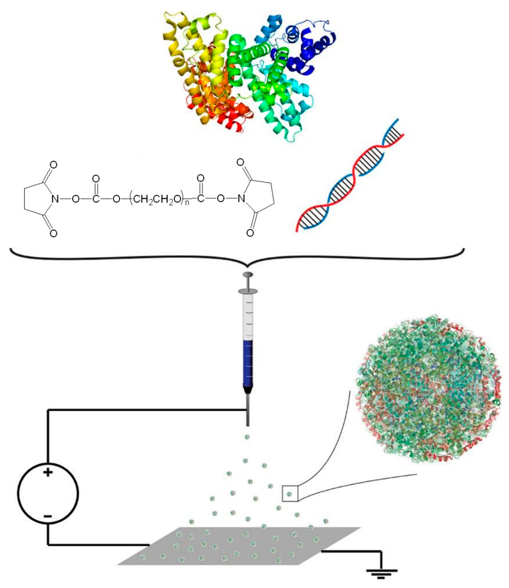 Polymers 15 03969 g006 Polymers 15 03969 g006