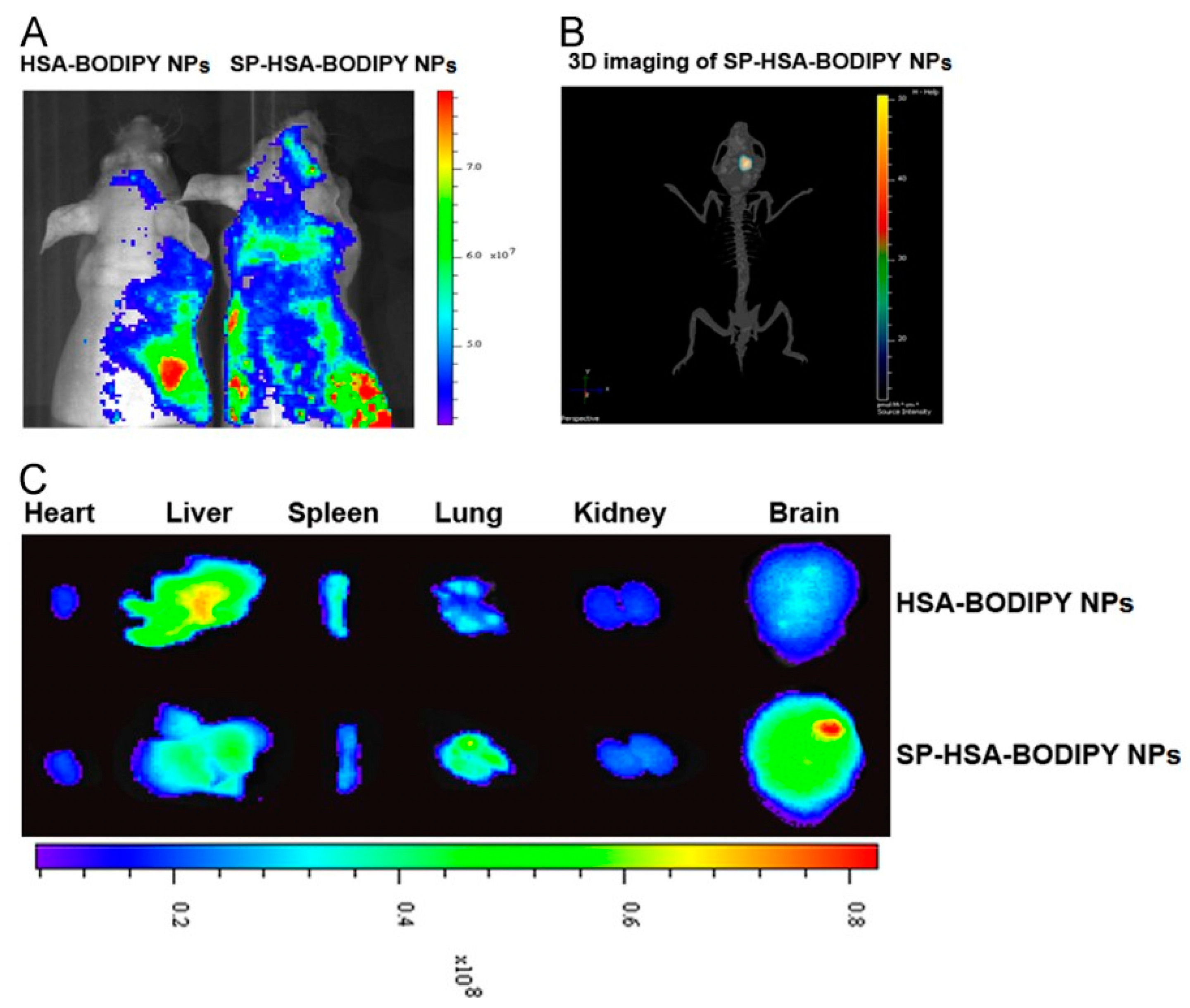 Polymers 15 03969 g008 Polymers 15 03969 g008