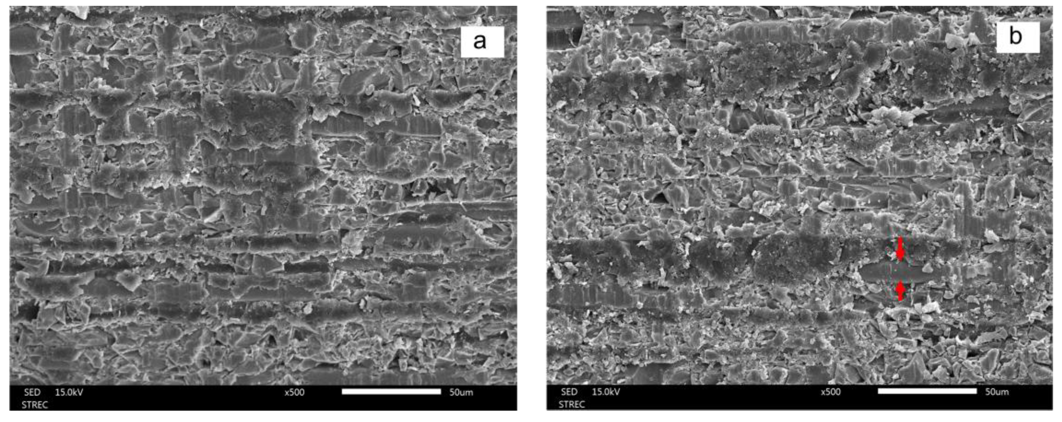 Polymers 15 03984 g010a