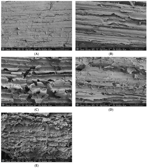 Physio-Chemical Characteristics of Contaminants in Stubborn Grass (Sida