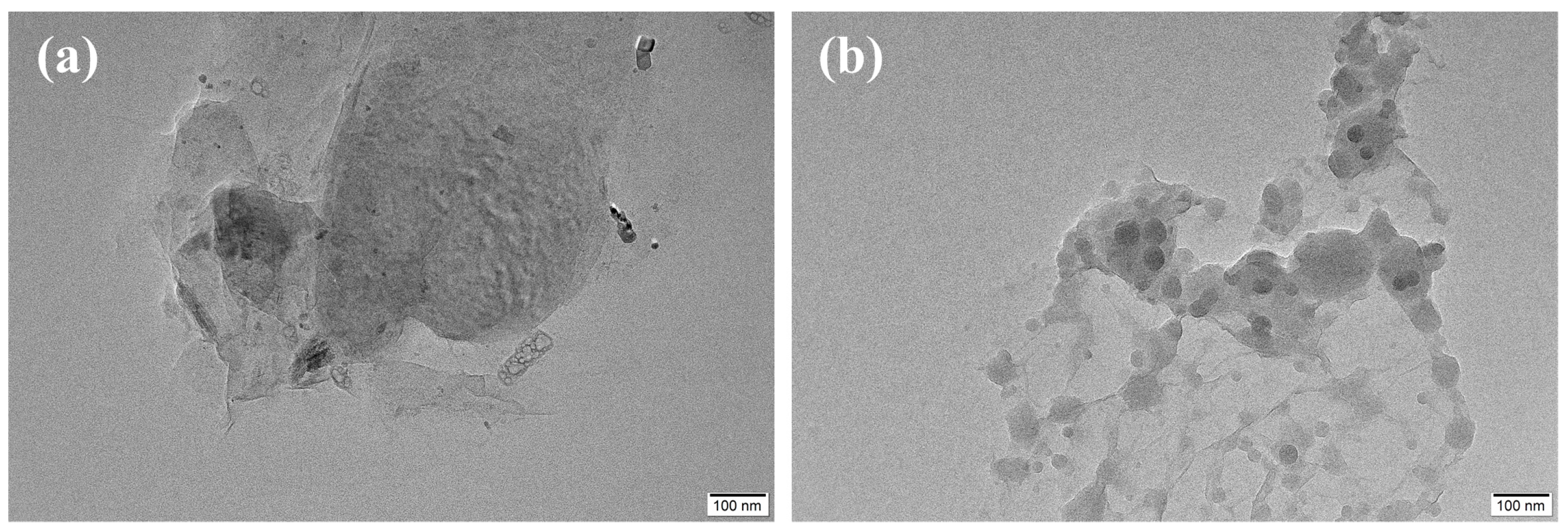 Polymers 15 03992 g002