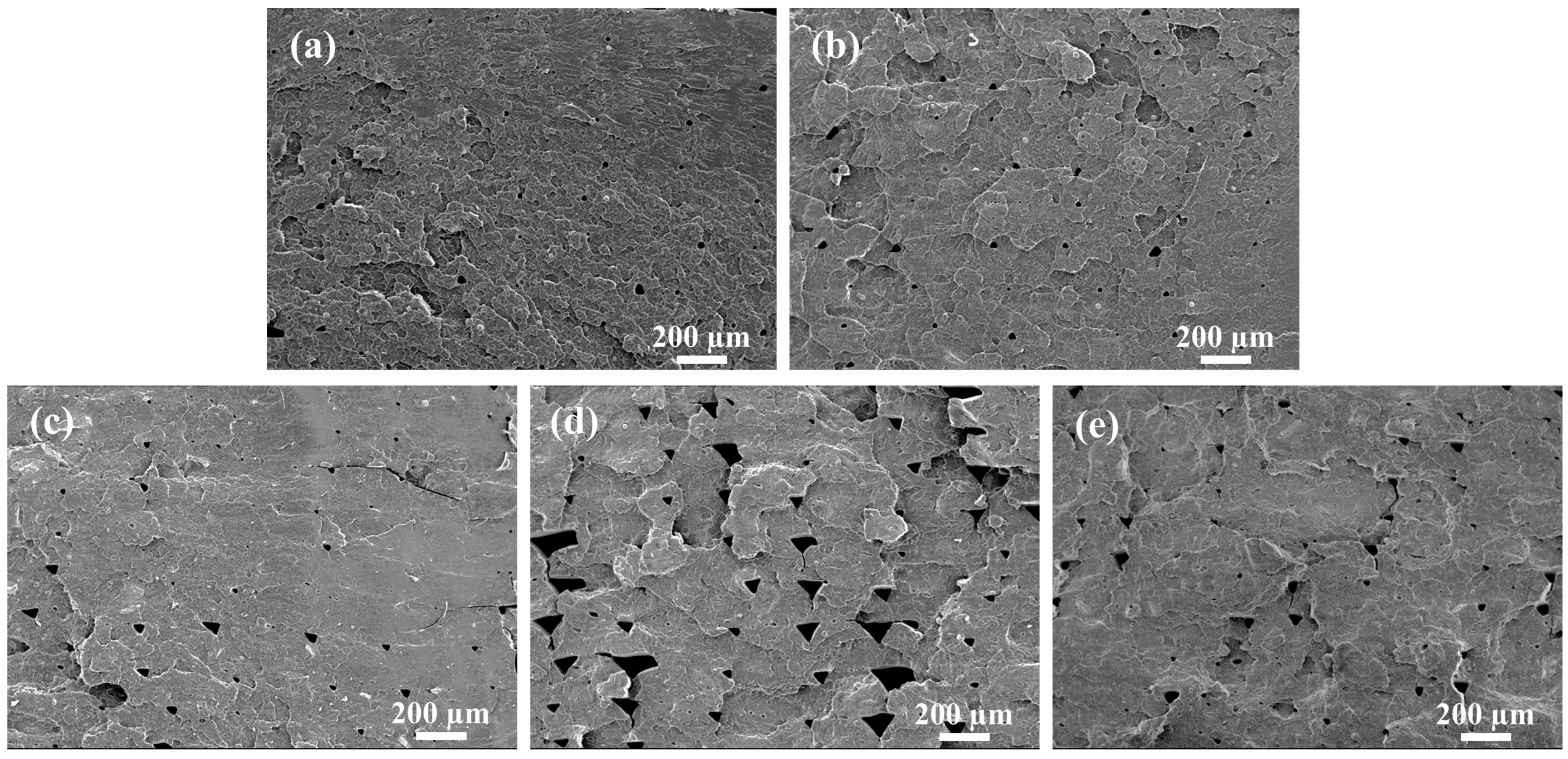 Polymers 15 03992 g006