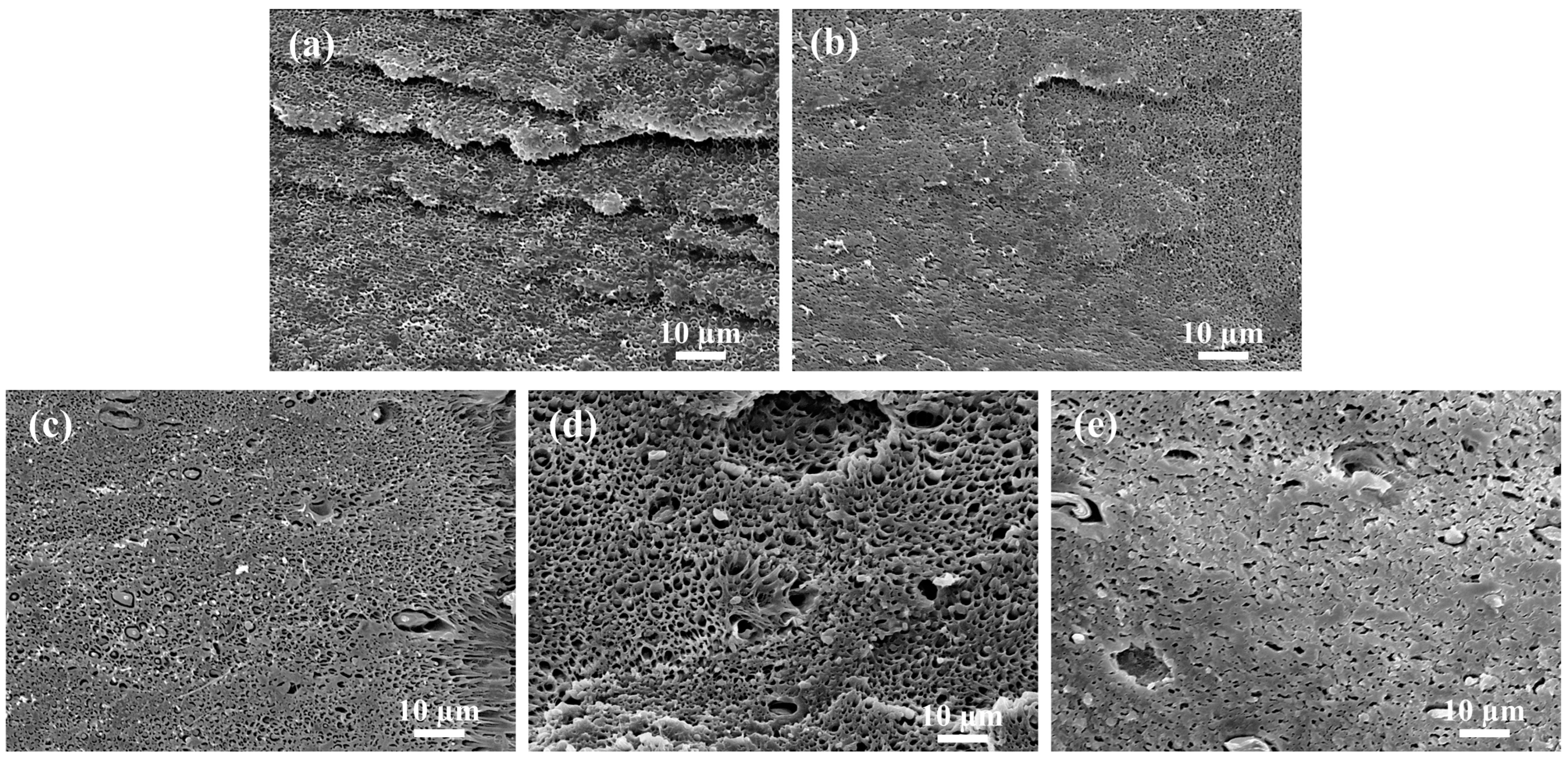 Polymers 15 03992 g008