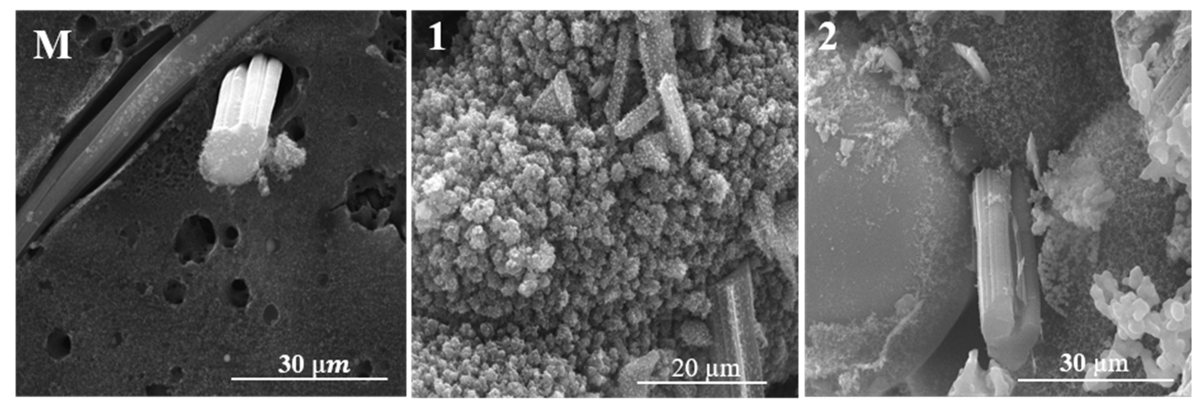Polymers 15 04016 g012 Polymers 15 04016 g012