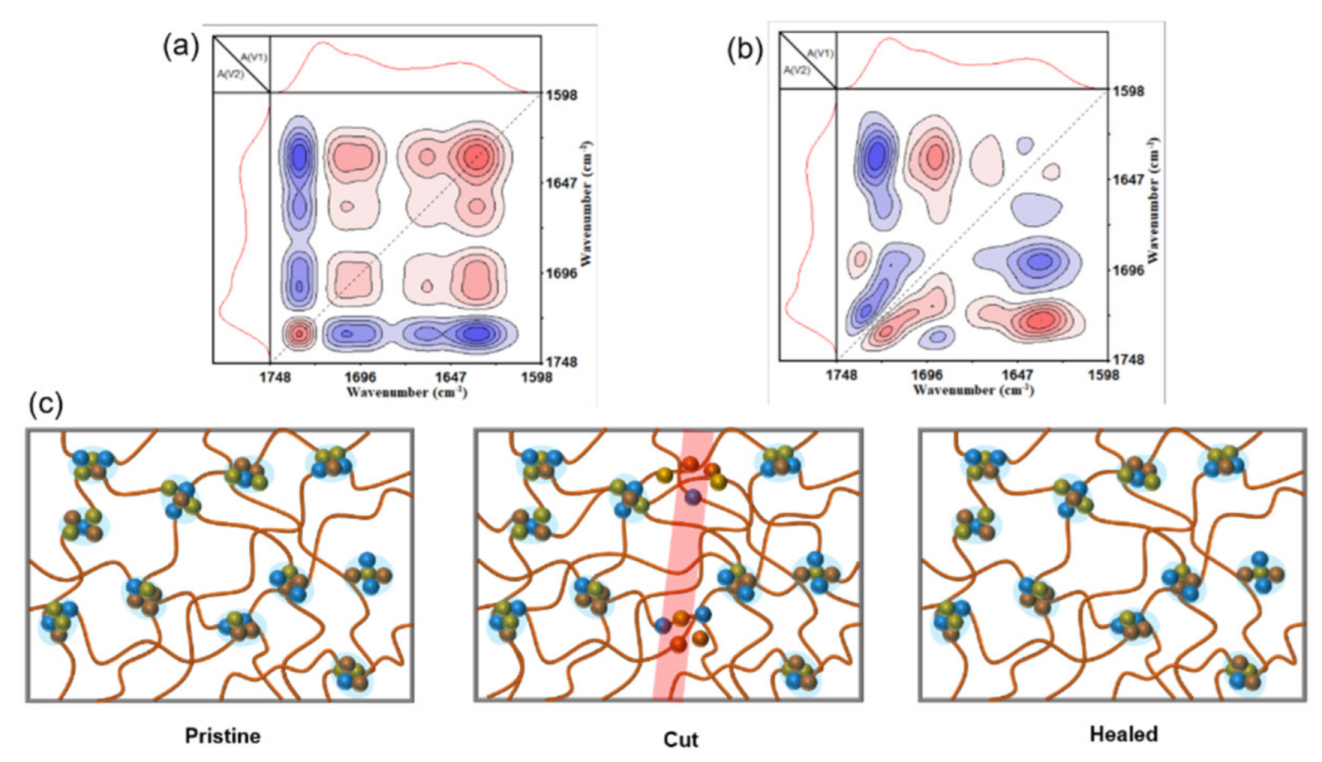 Ultrarobust, tough and highly stretchable self-healing materials