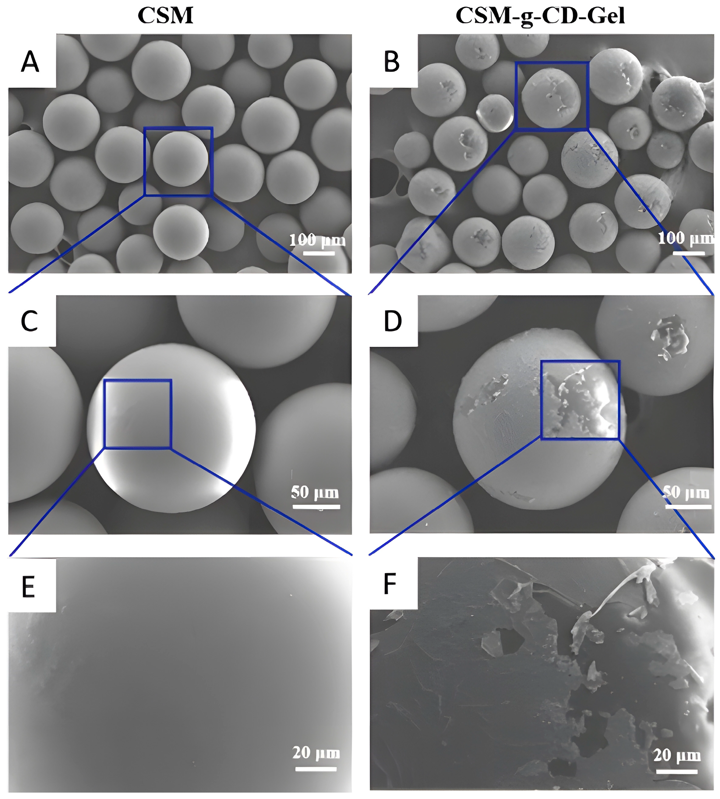 Polymers 15 04024 g001