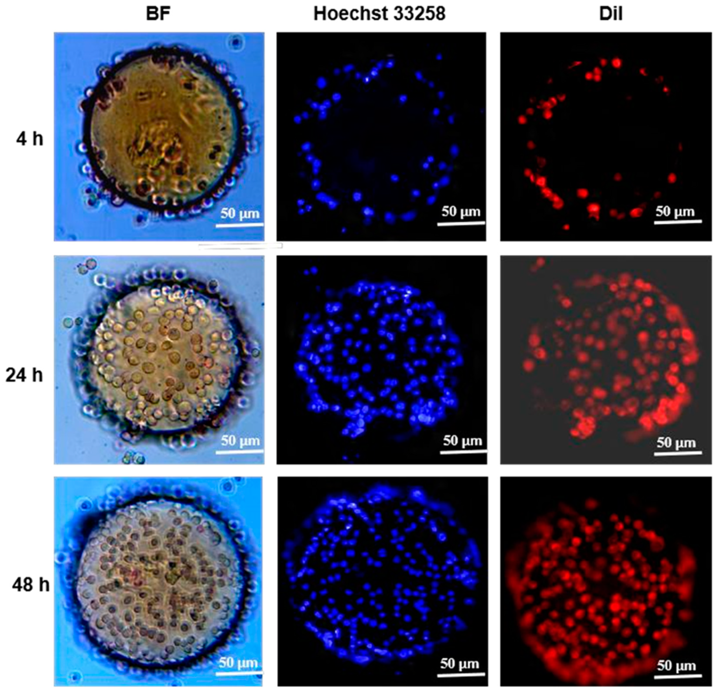 Polymers 15 04024 g006