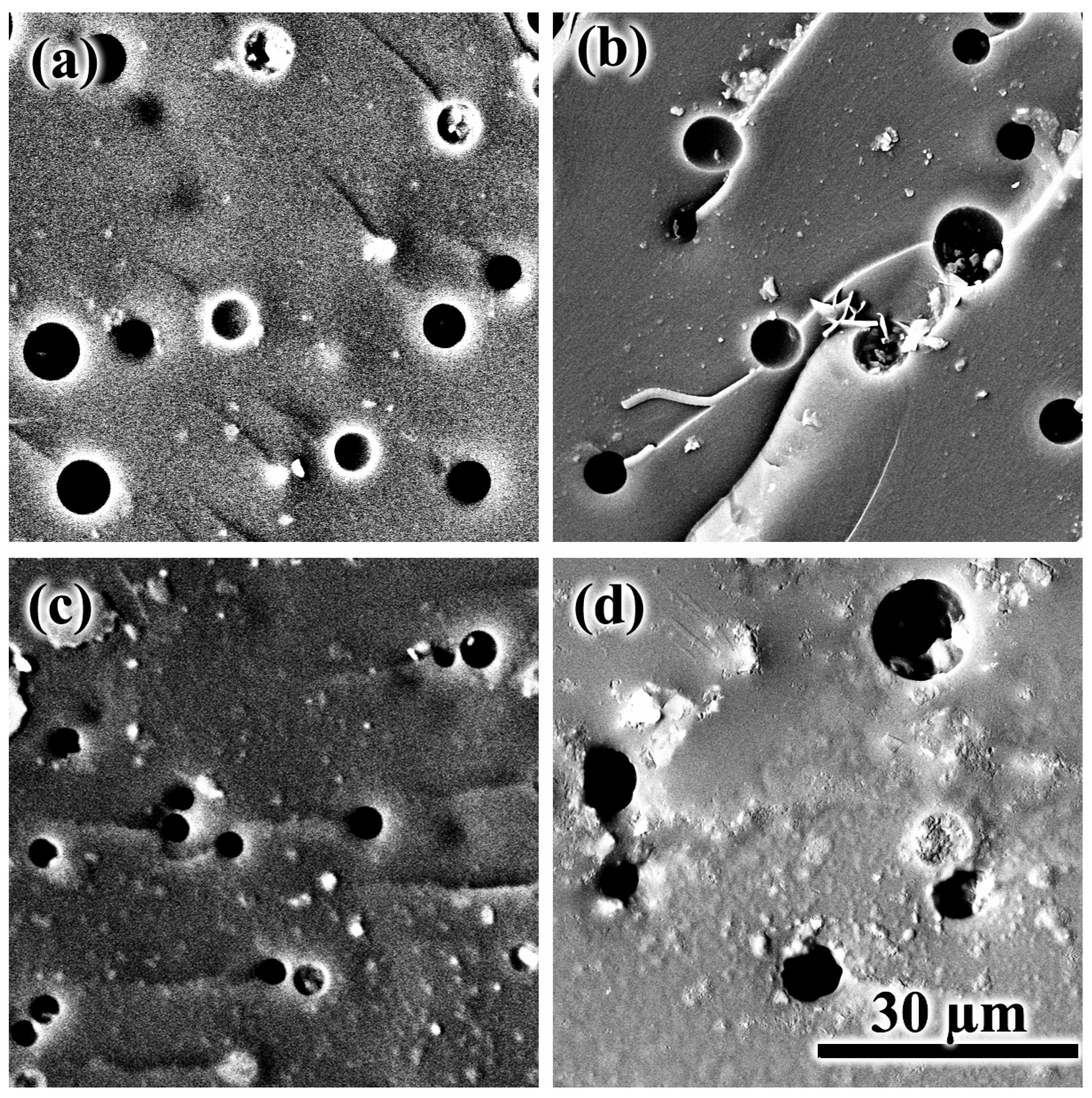 Polymers 15 04026 g010