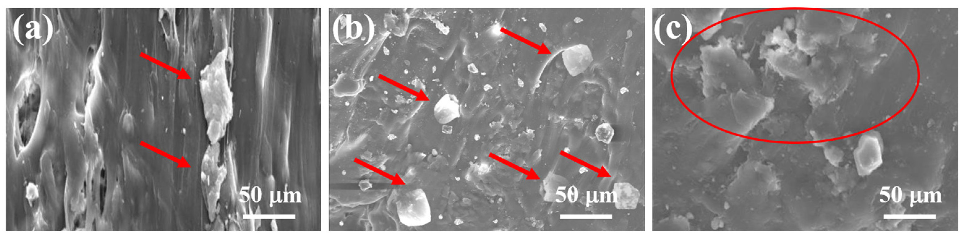 Polymers 15 04031 g004