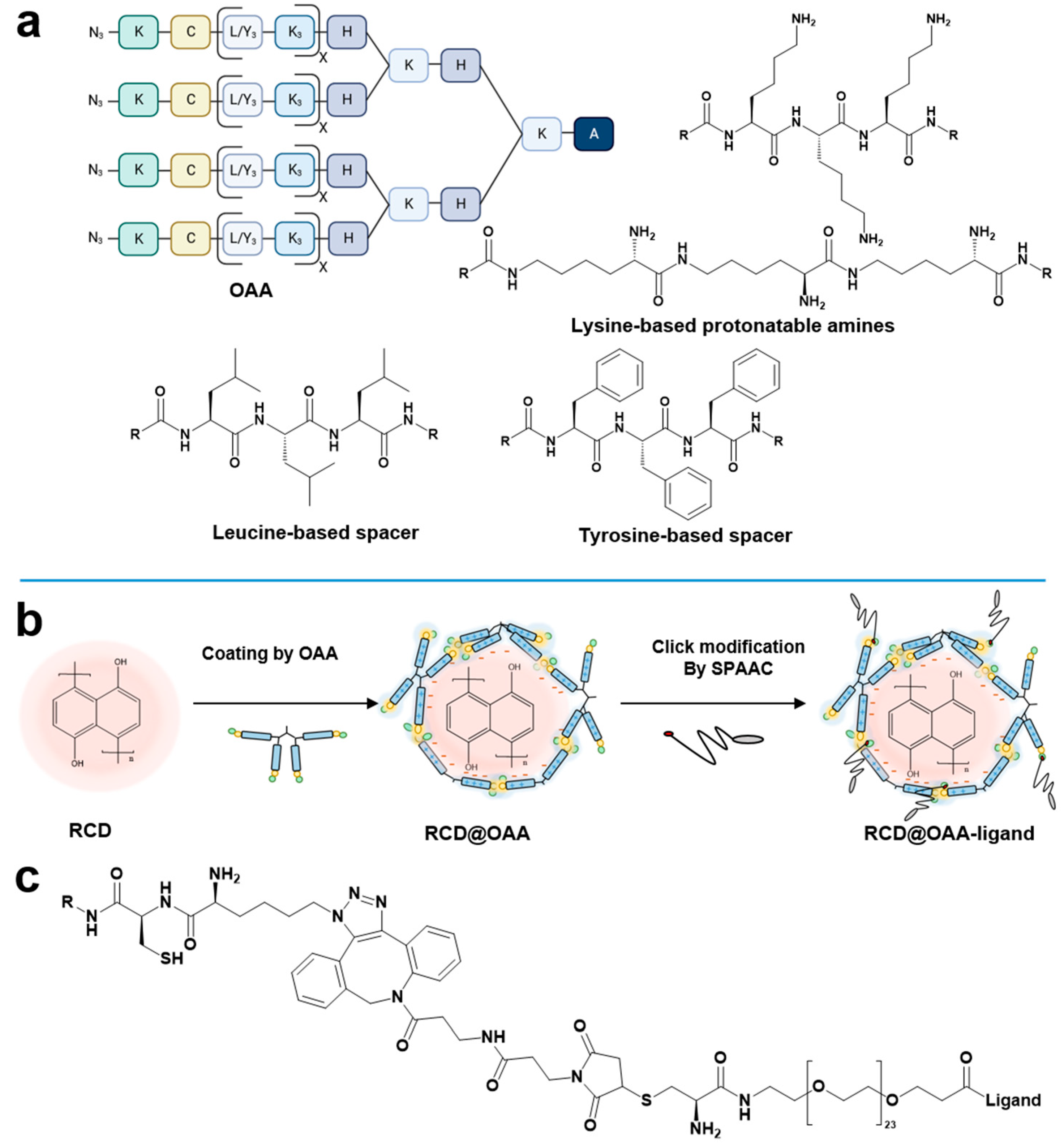Polymers 15 04039 g001