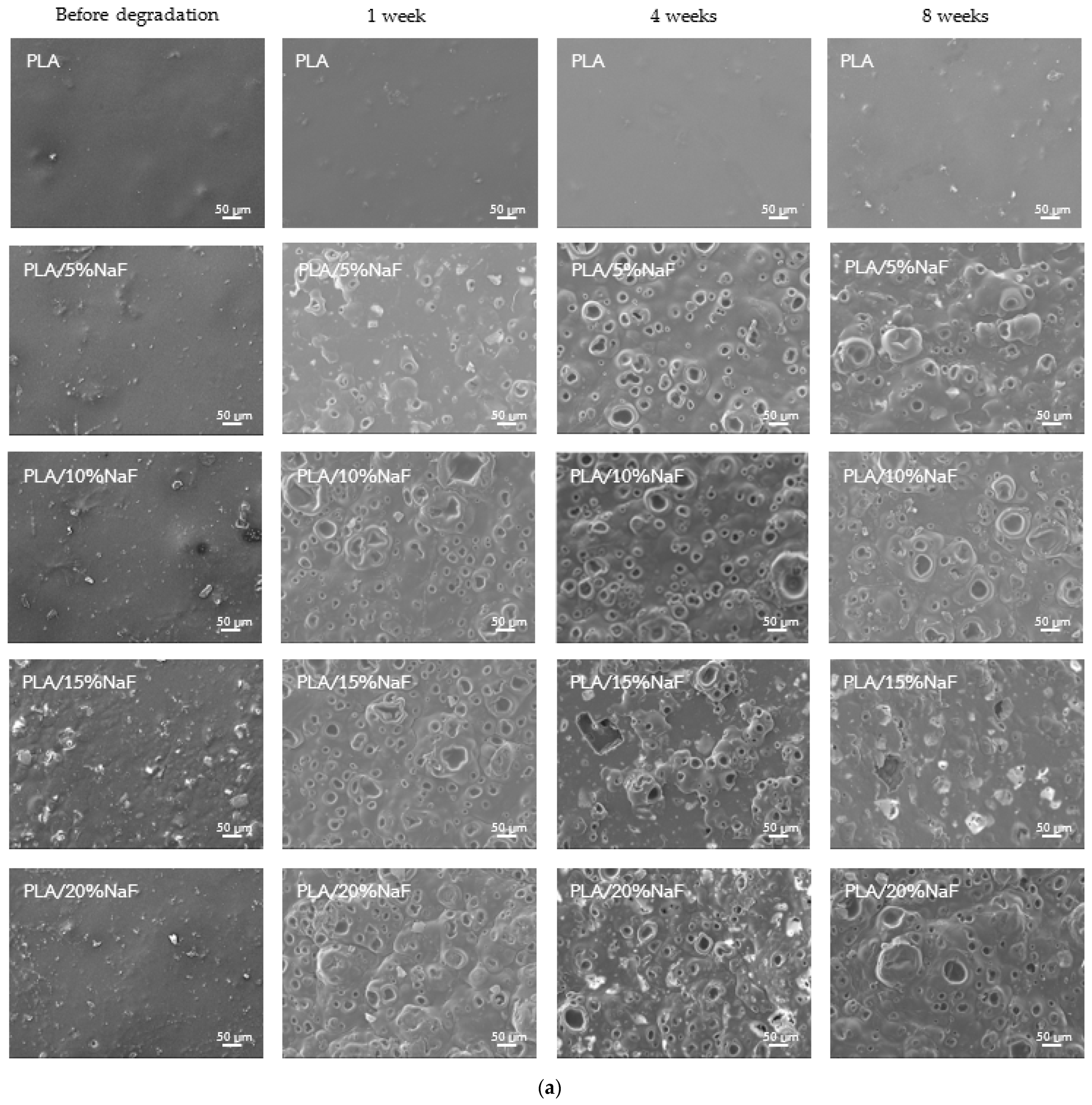 Polymers 15 04041 g007a
