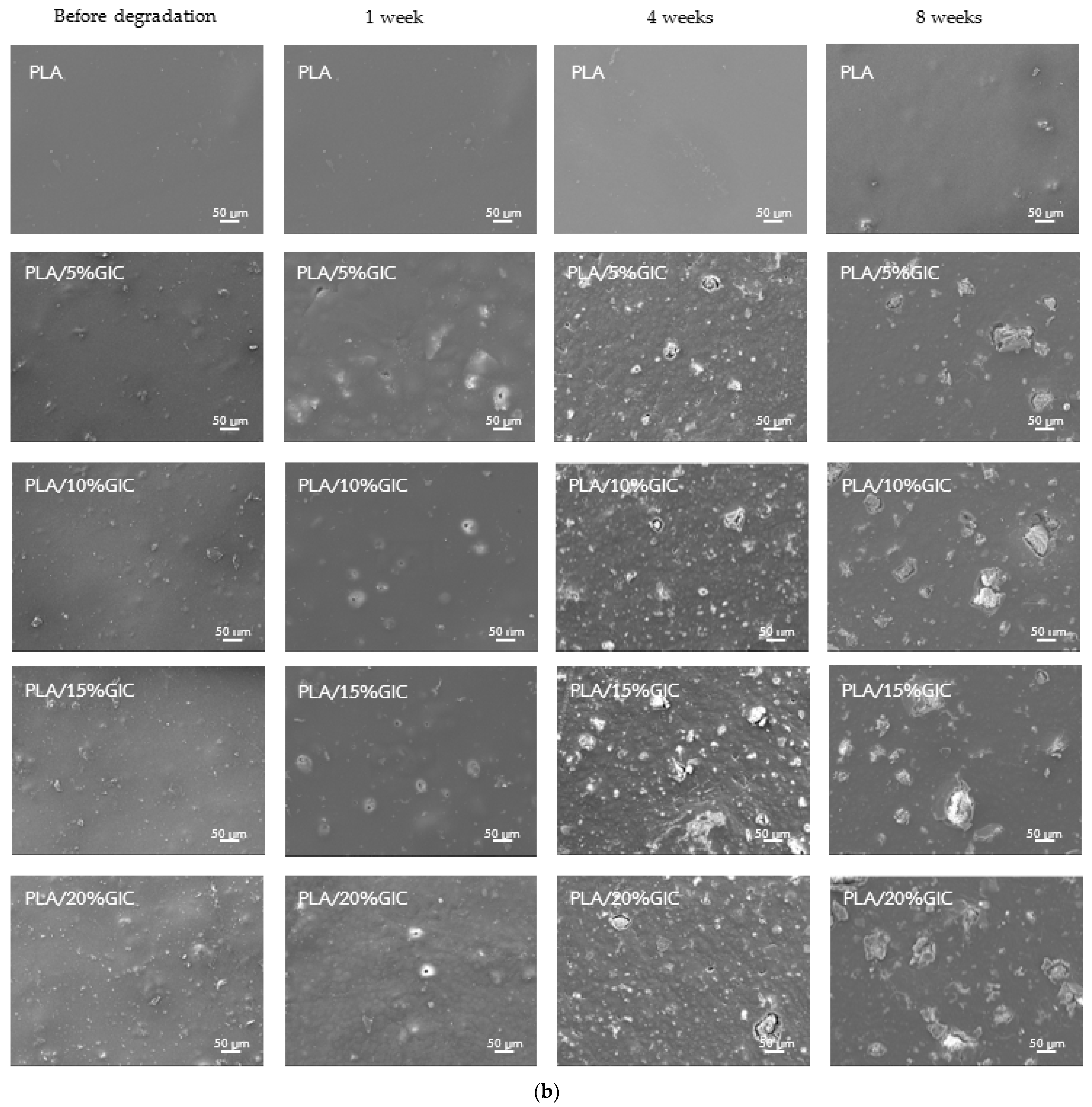 Polymers 15 04041 g007b