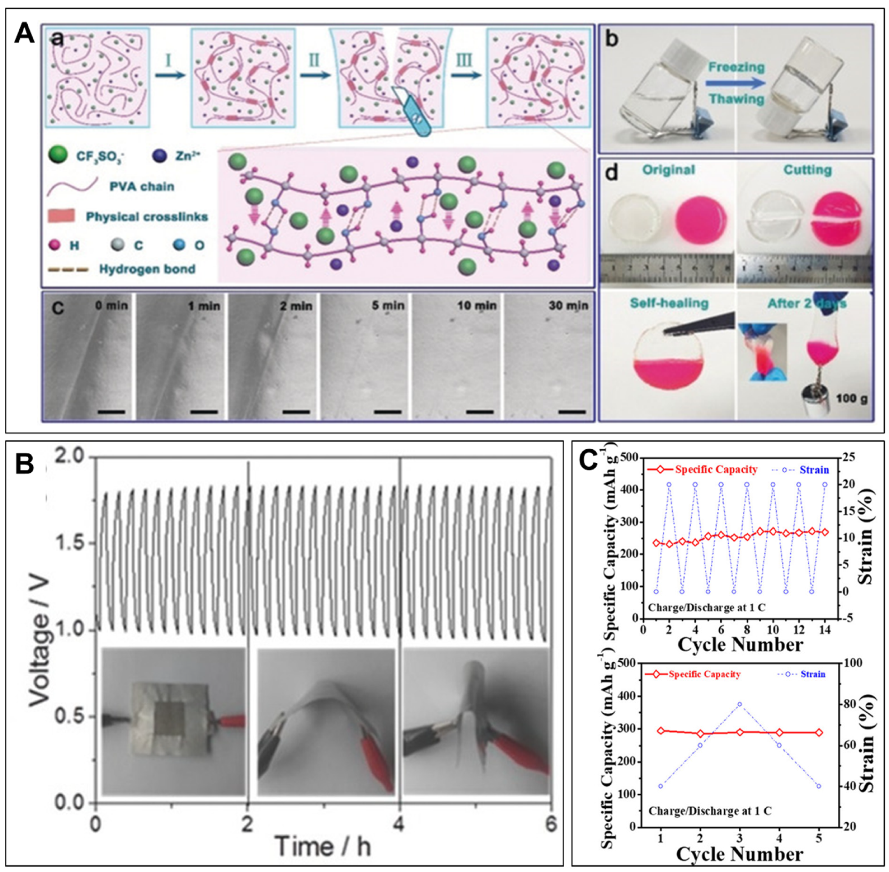 Polymers 15 04047 g001 Polymers 15 04047 g001