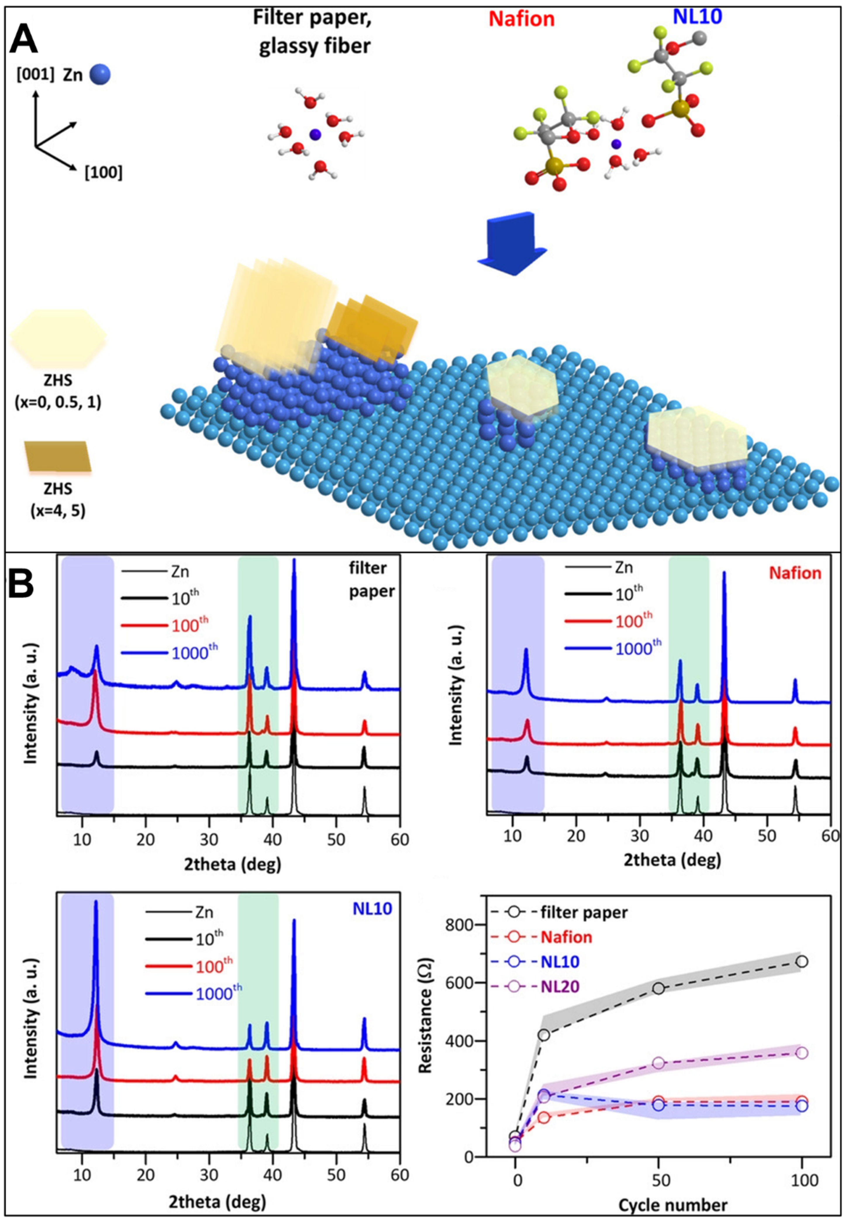 Polymers 15 04047 g004 Polymers 15 04047 g004
