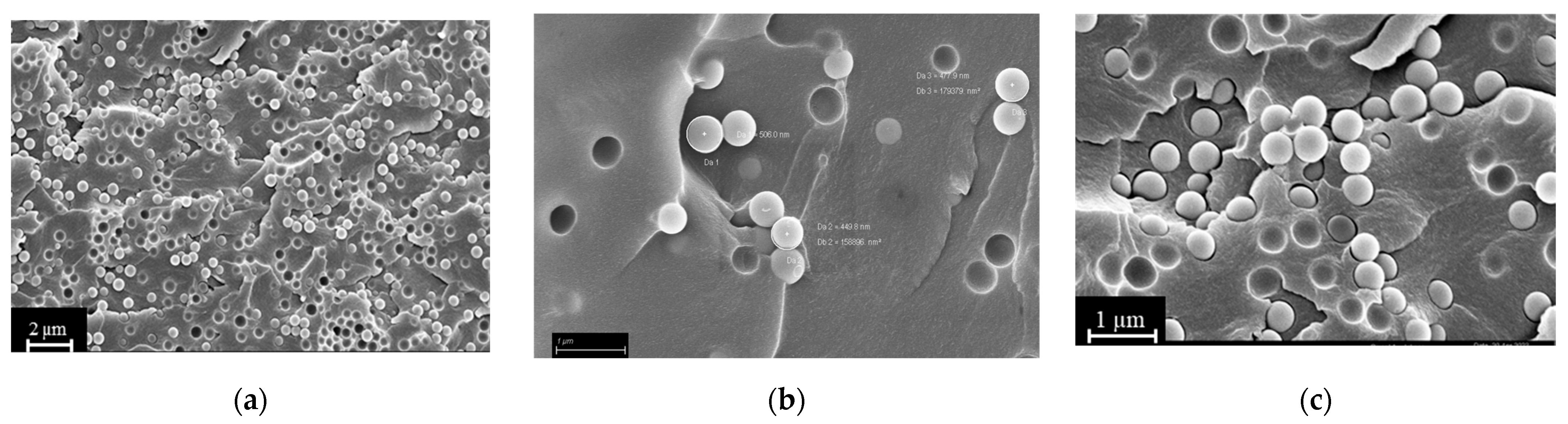 Polymers 15 04089 g006
