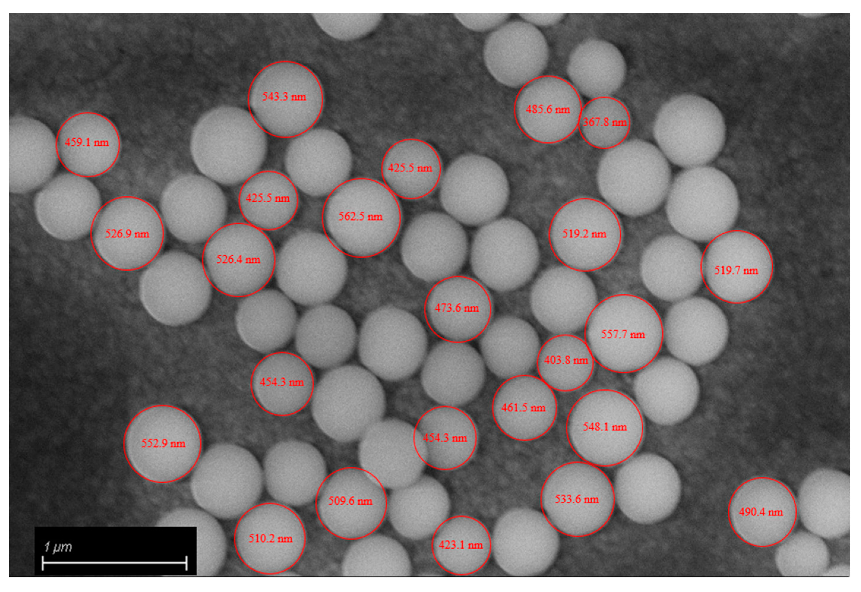 Polymers 15 04089 g007