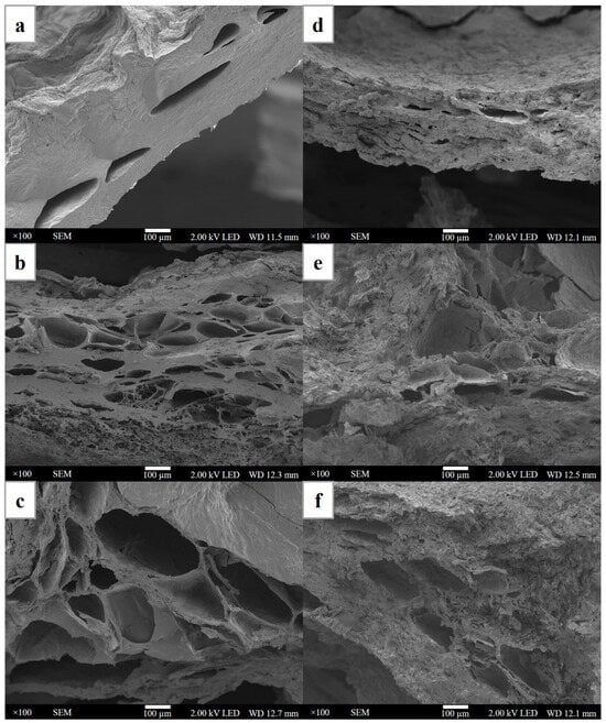 Polymers | Free Full-Text | Characterization Of Cellulose Fiber Derived ...