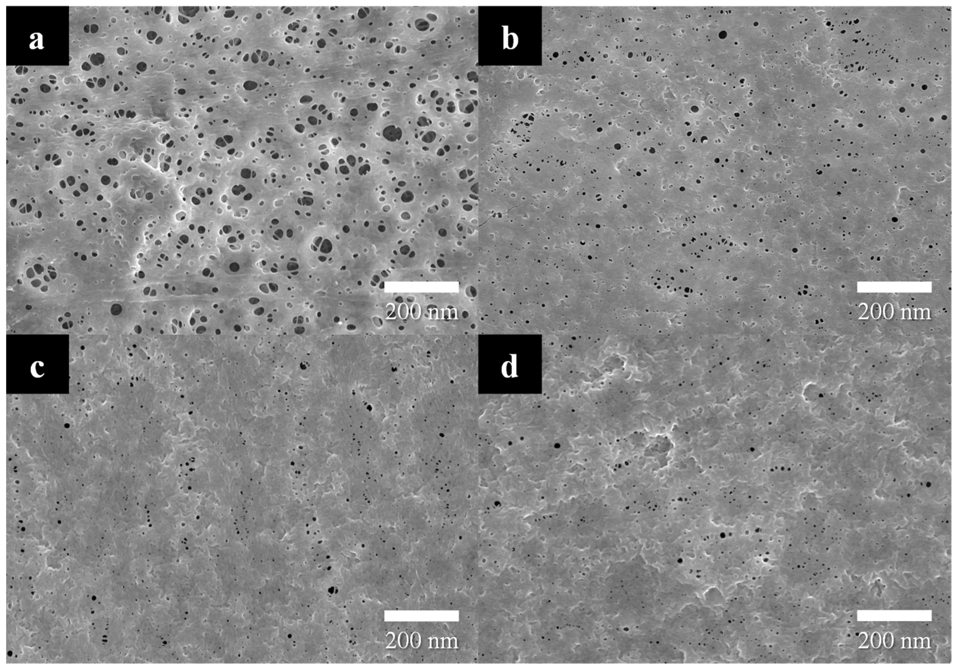 Polymers 15 04108 g005