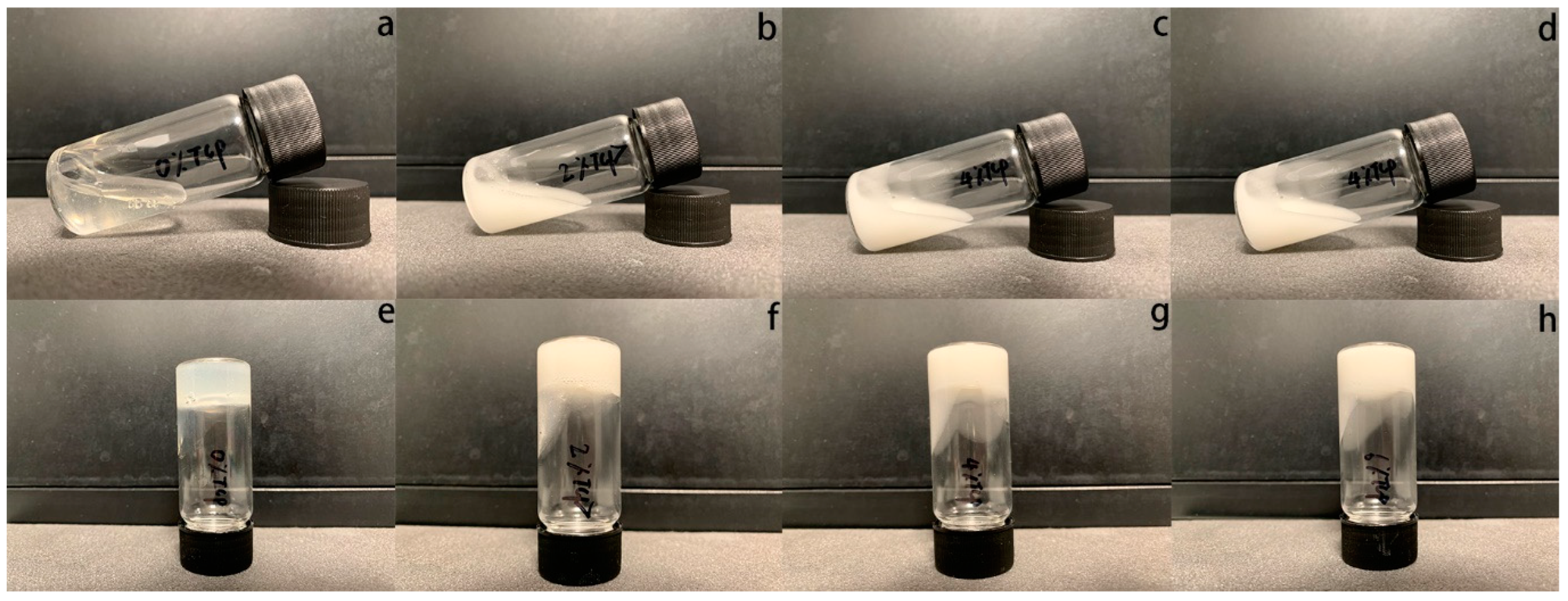 PDF) Use of chitosan and β-tricalcium phosphate, alone and in