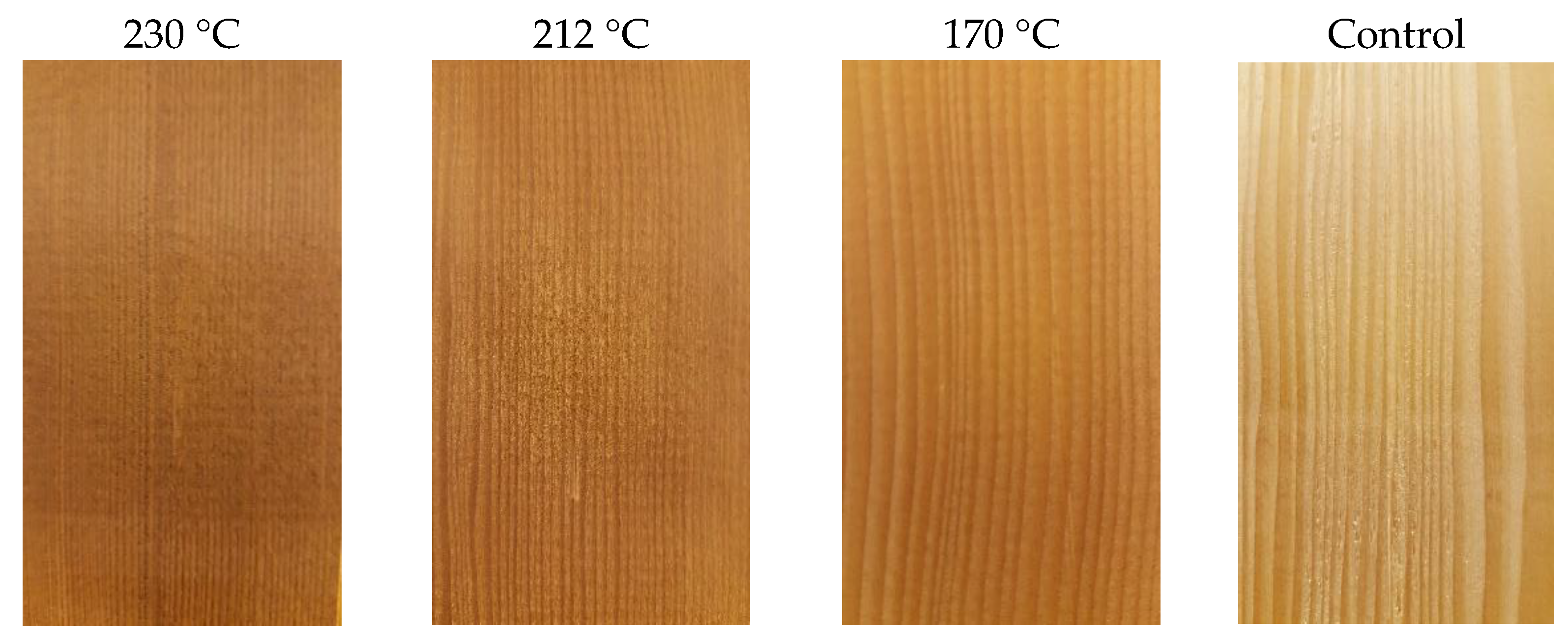 Polymers 15 04147 g001