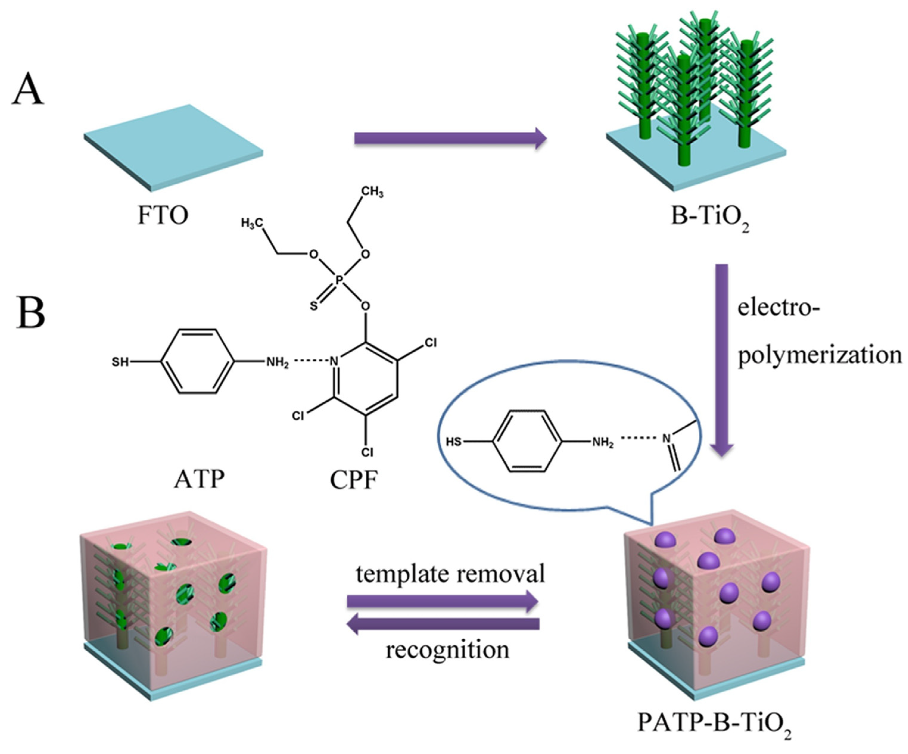 Polymers 15 04152 g006