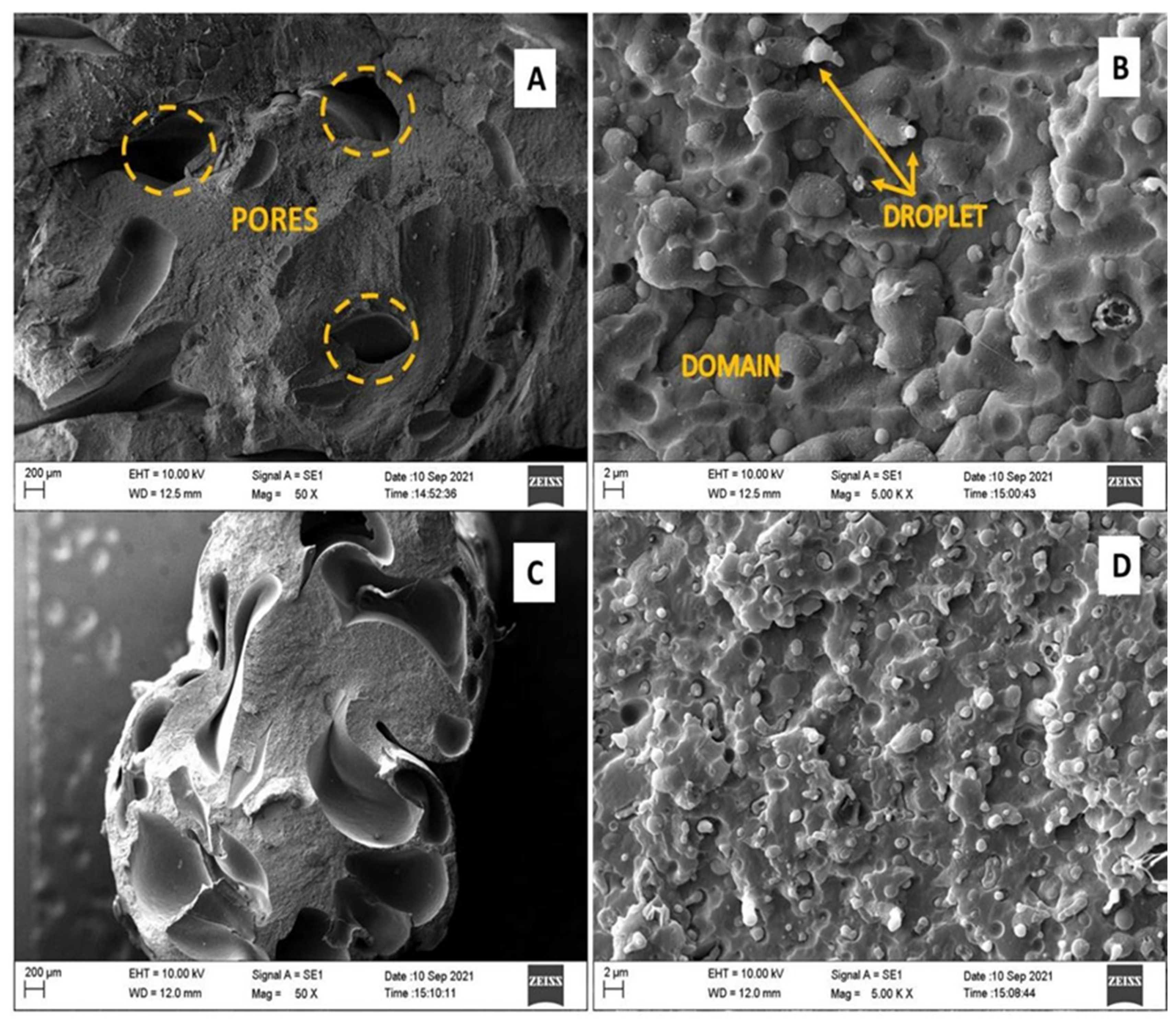 Polymers 15 04155 g006