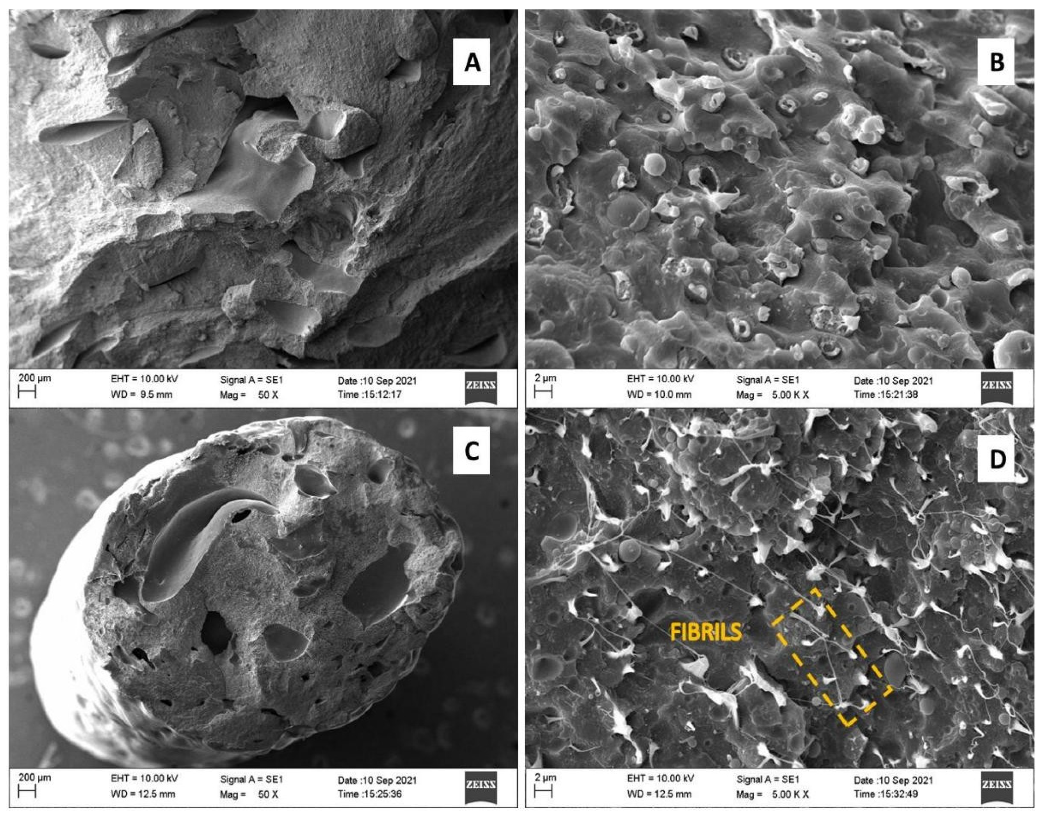 Polymers 15 04155 g007