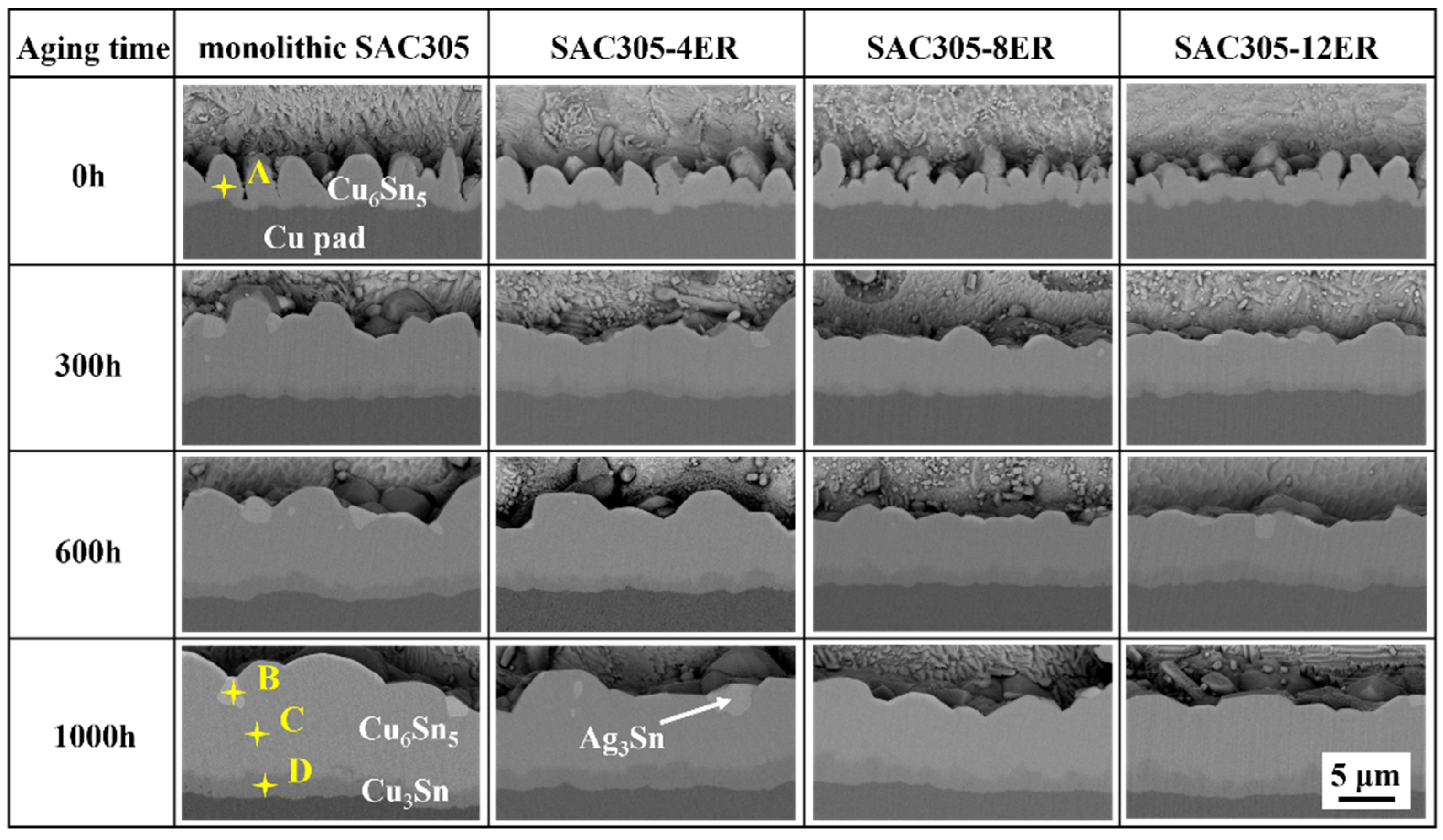 Polymers 15 04168 g005