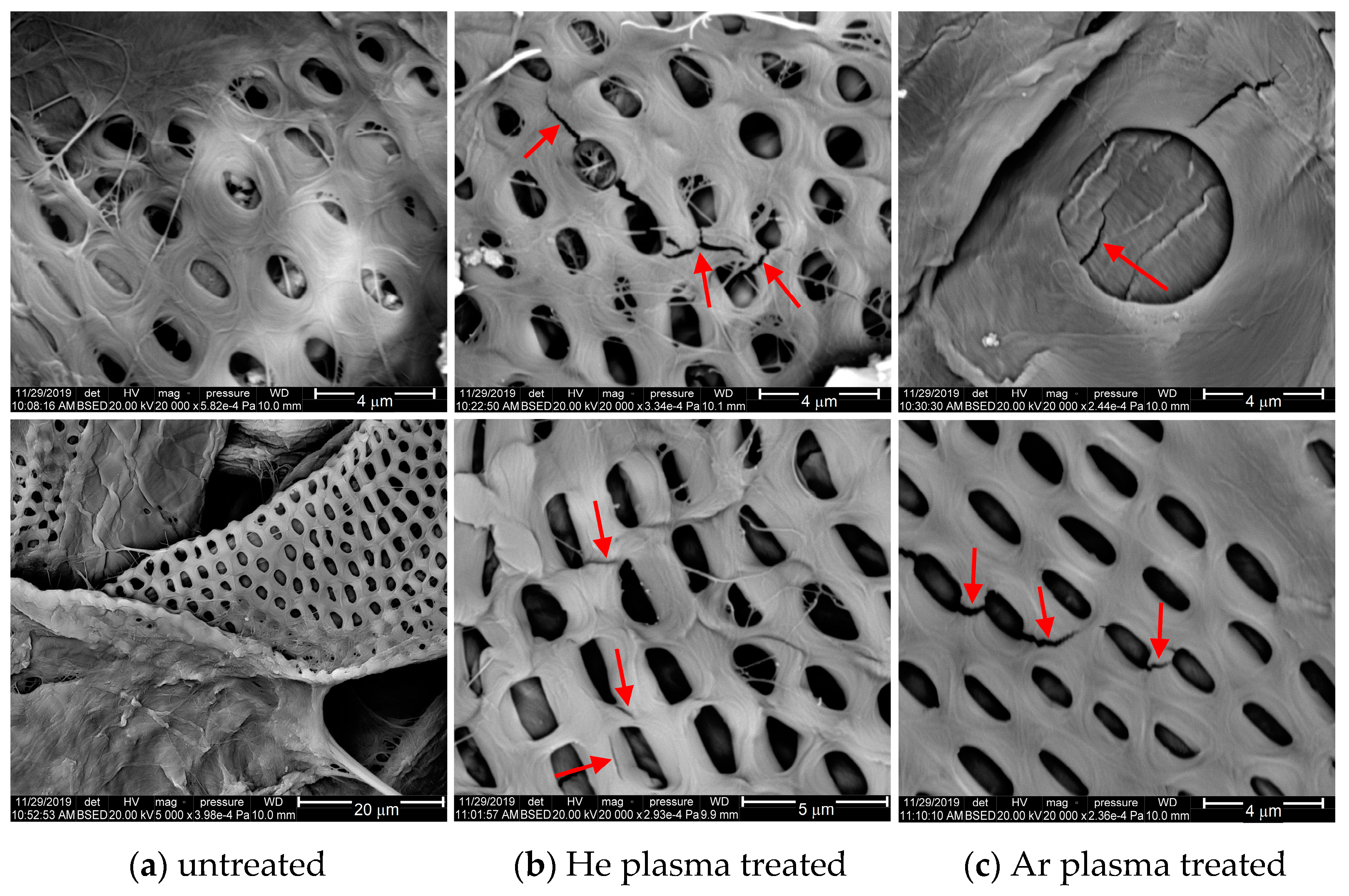 Polymers 15 04172 g008