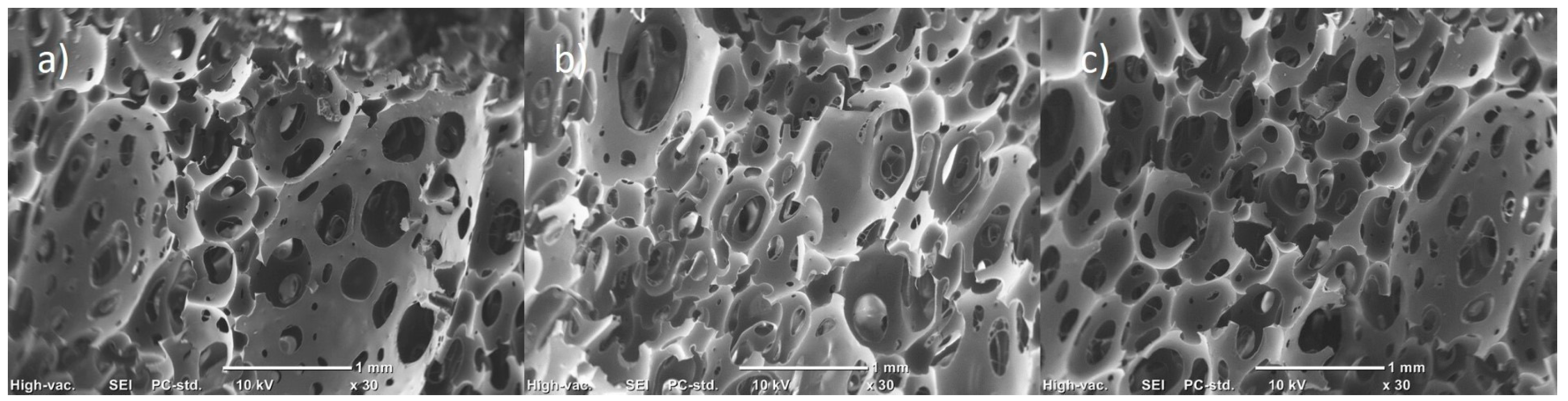 Polymers 15 04177 g004