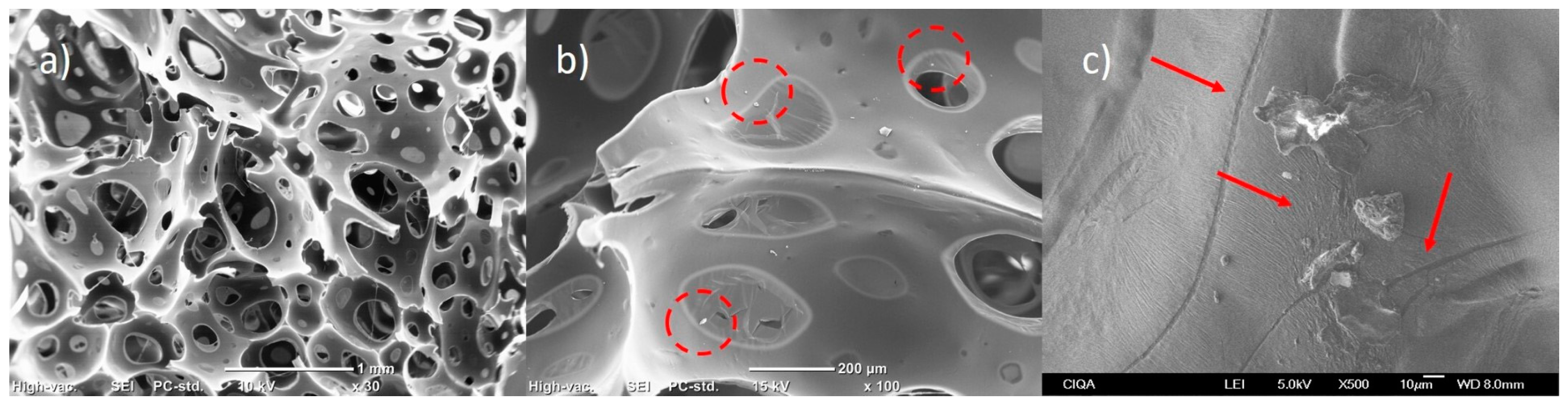 Polymers 15 04177 g005