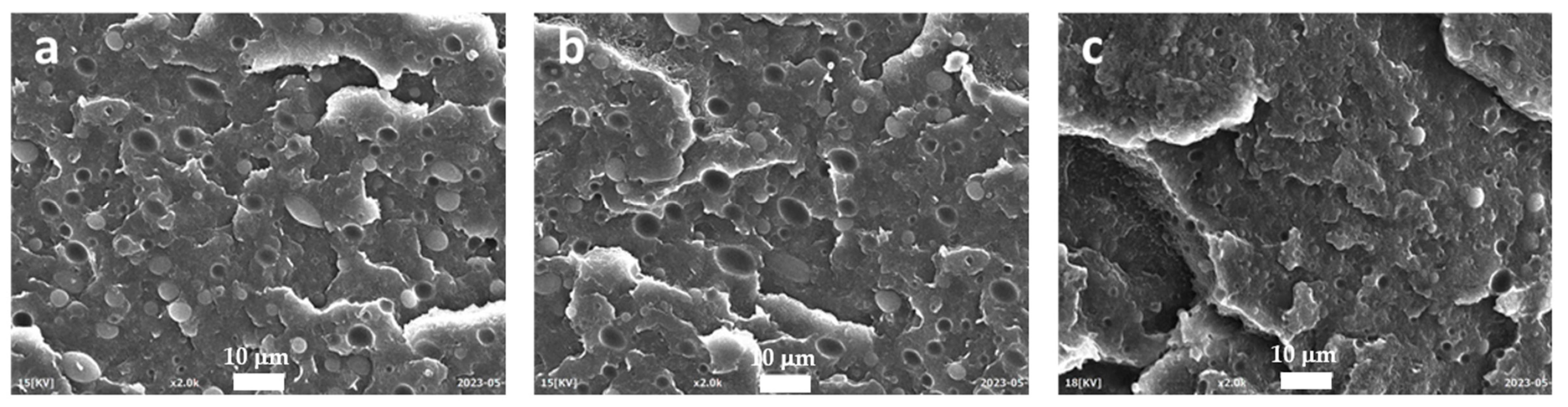 Polymers 15 04178 g008