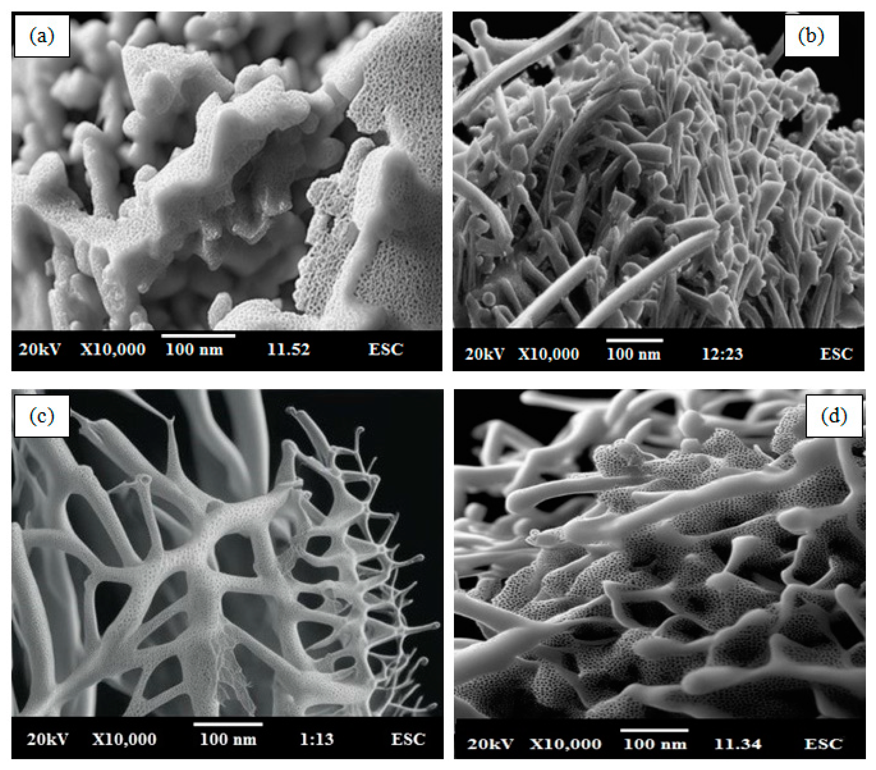 Polymers 15 04186 g003