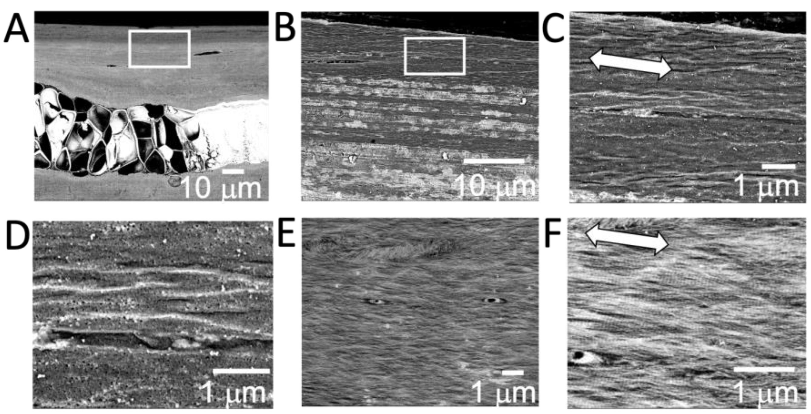 Polymers 15 04190 g002