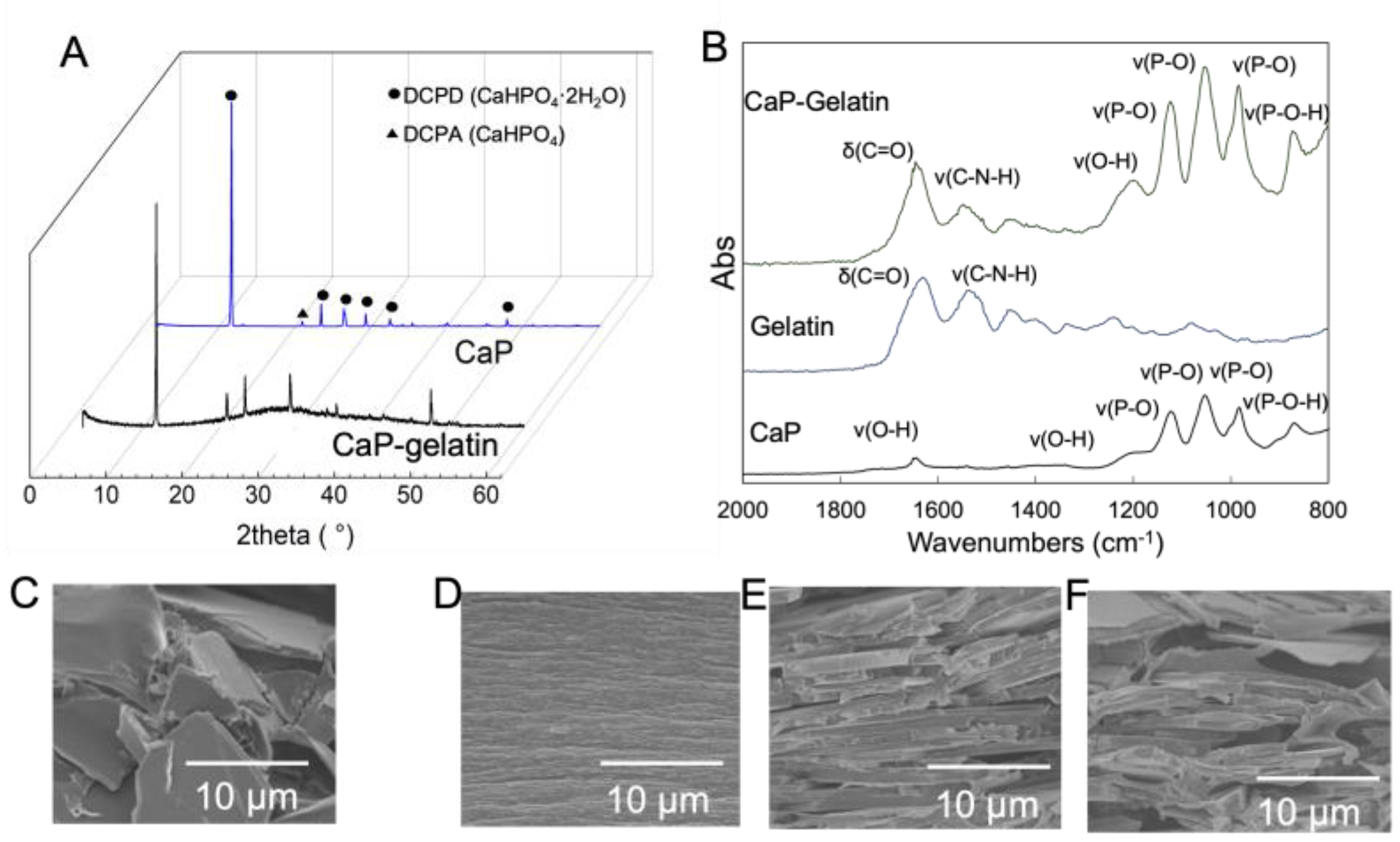 Polymers 15 04190 g004