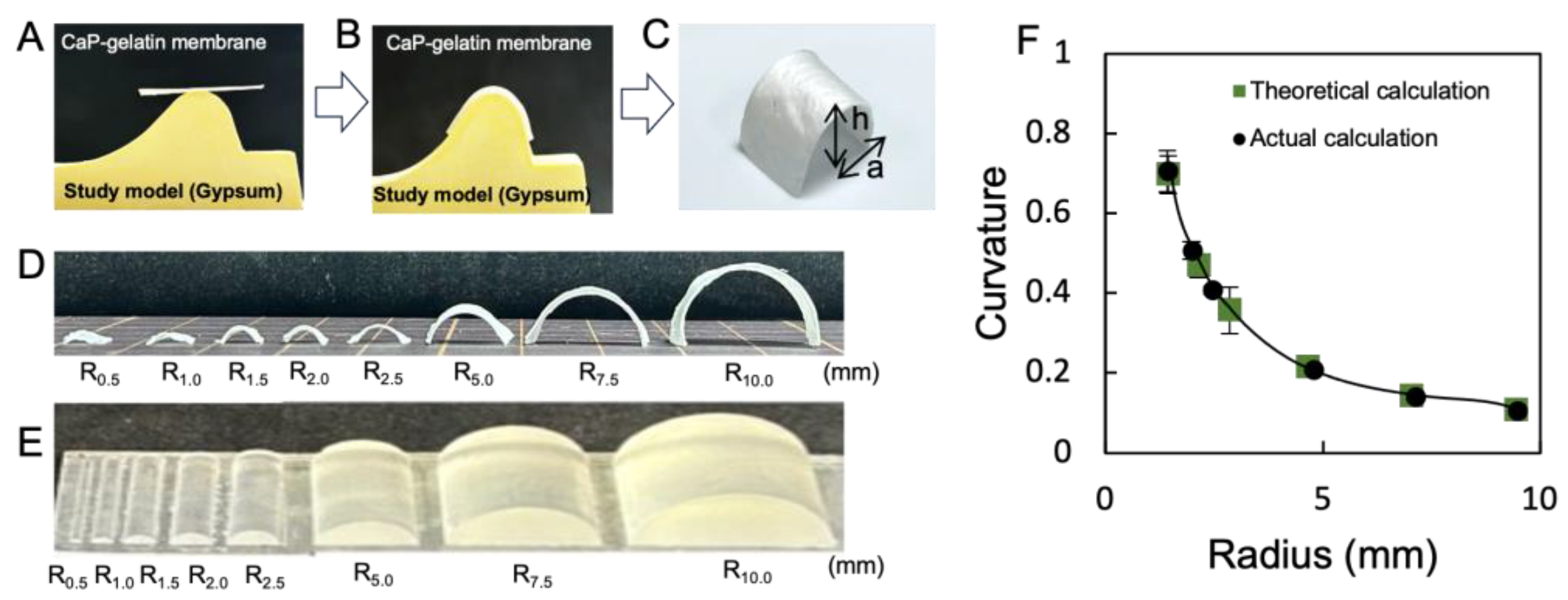 Polymers 15 04190 g006