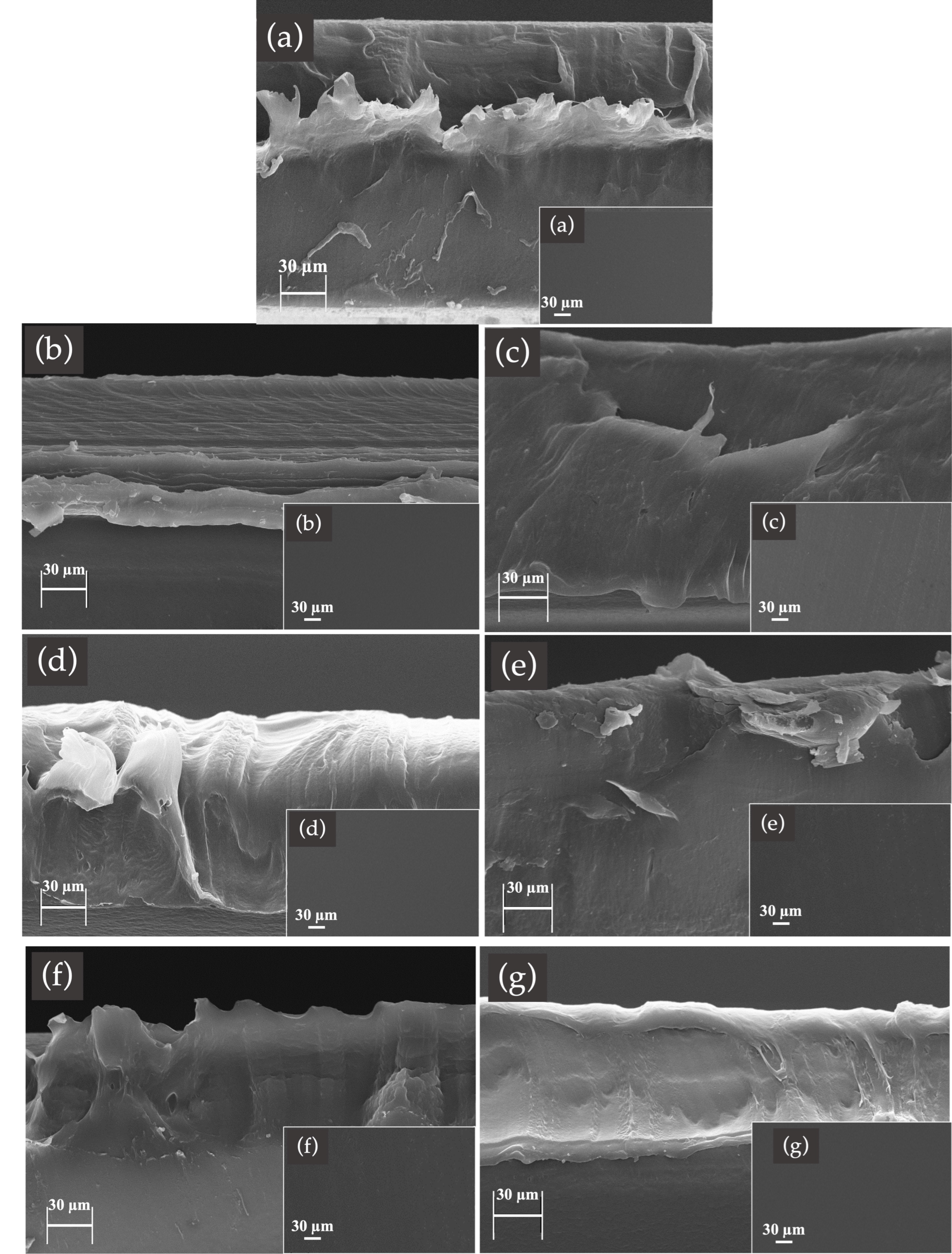 Polymers 15 04193 g005
