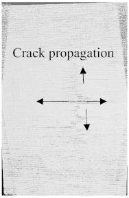 Polymers 15 04209 i002