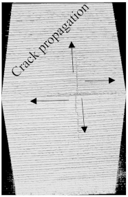 Polymers 15 04209 i006