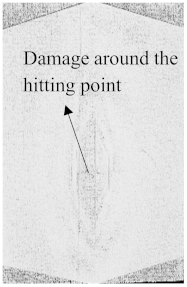 Polymers 15 04209 i007