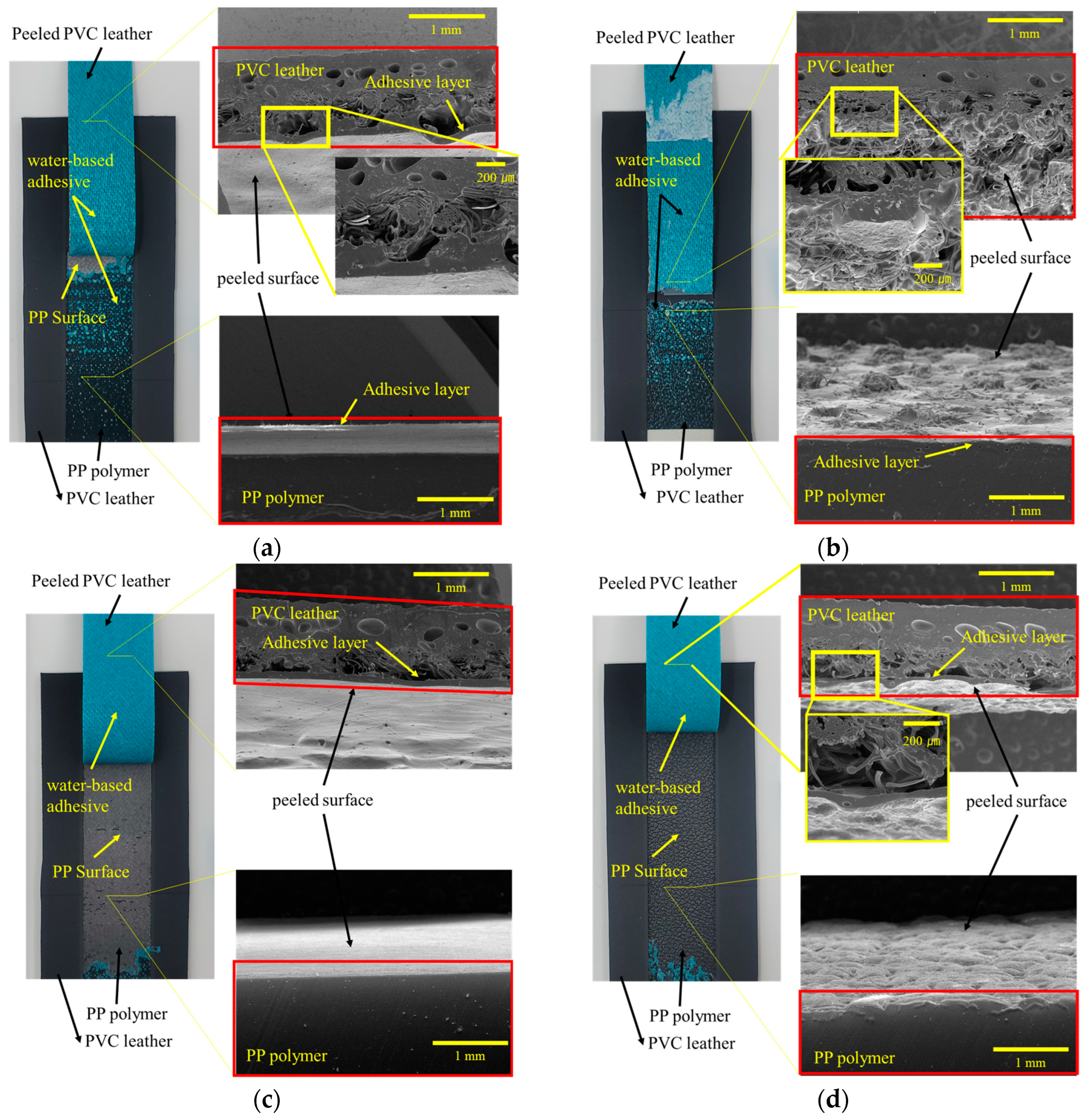 Polymers 15 04217 g012a