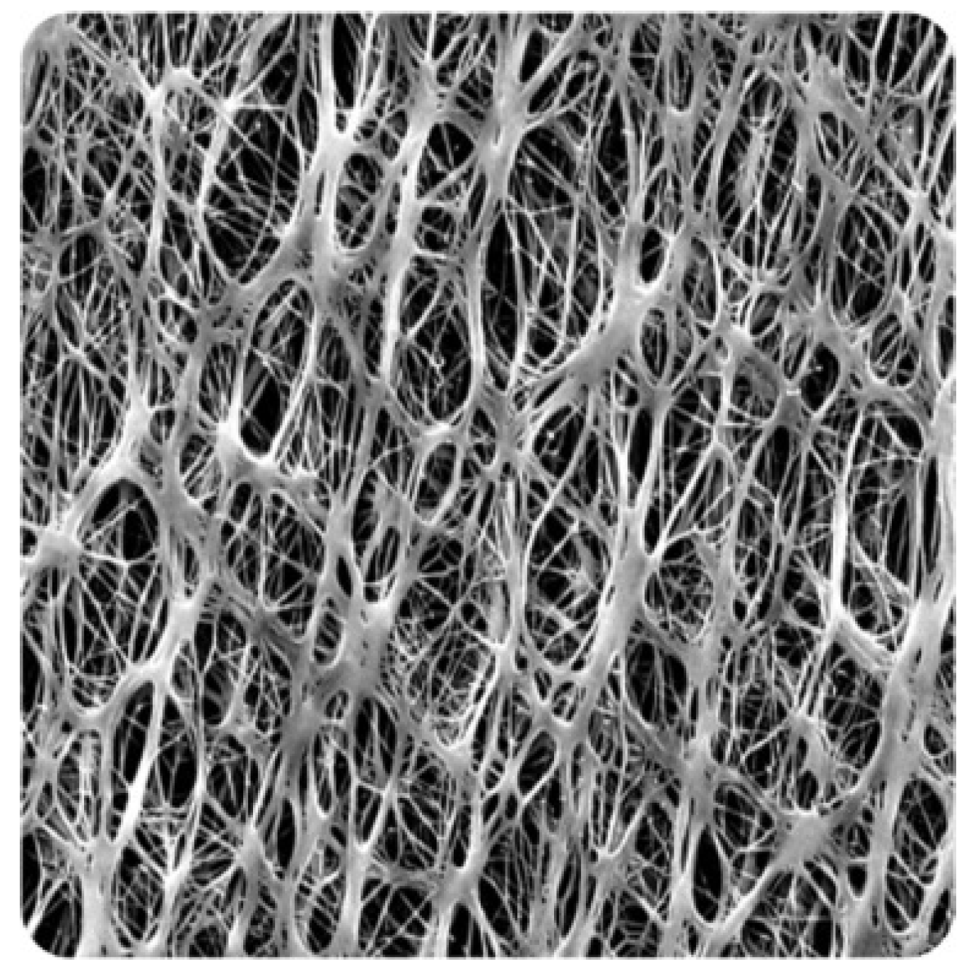 Polymers 15 04237 g009